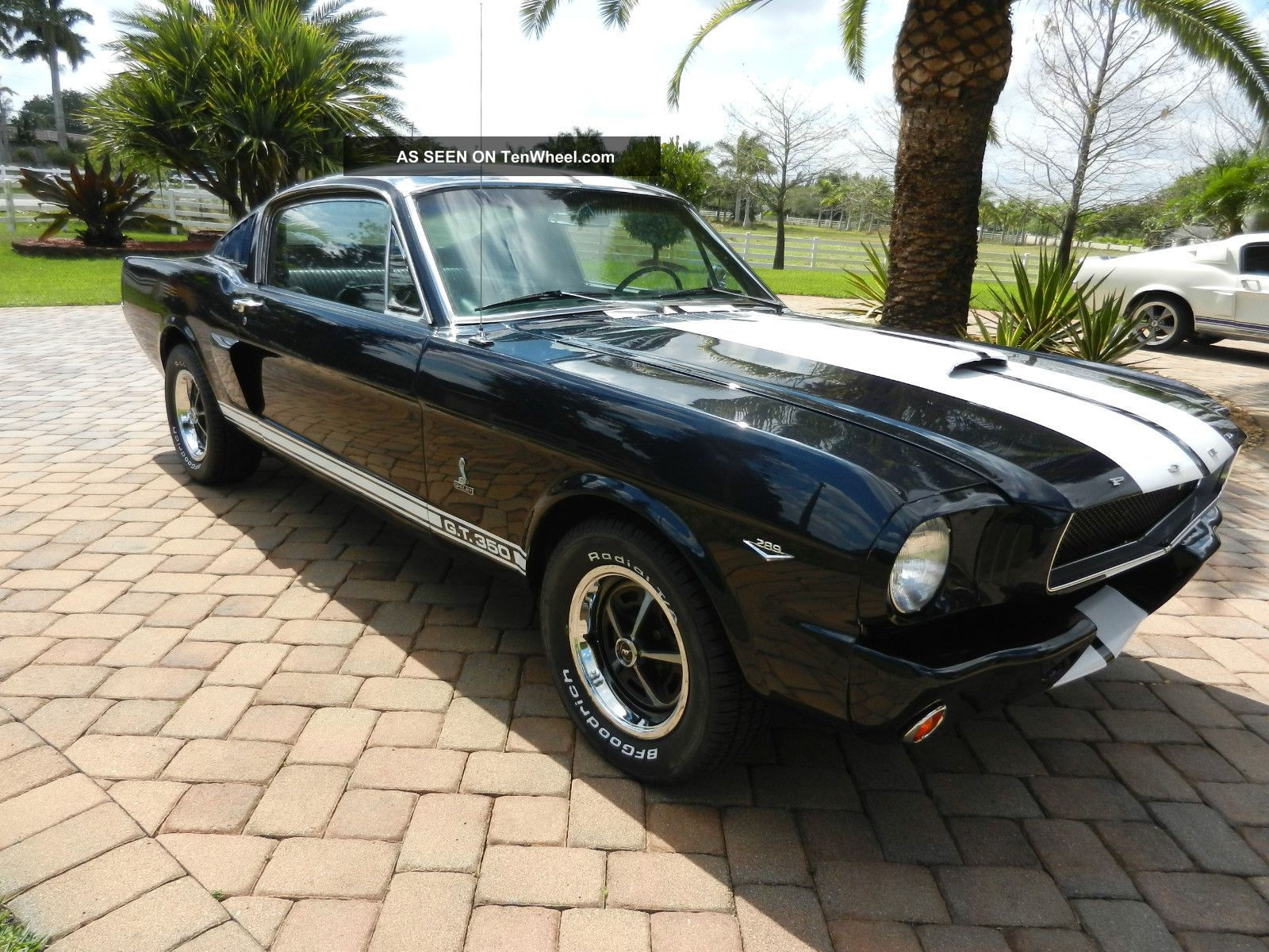 Wallpaper #RxWquo4BmMigT4Unv1YI56 Awesome 1966 Mustang Fastback Shelby GT350 Pkg 4 Spd Pony Interior