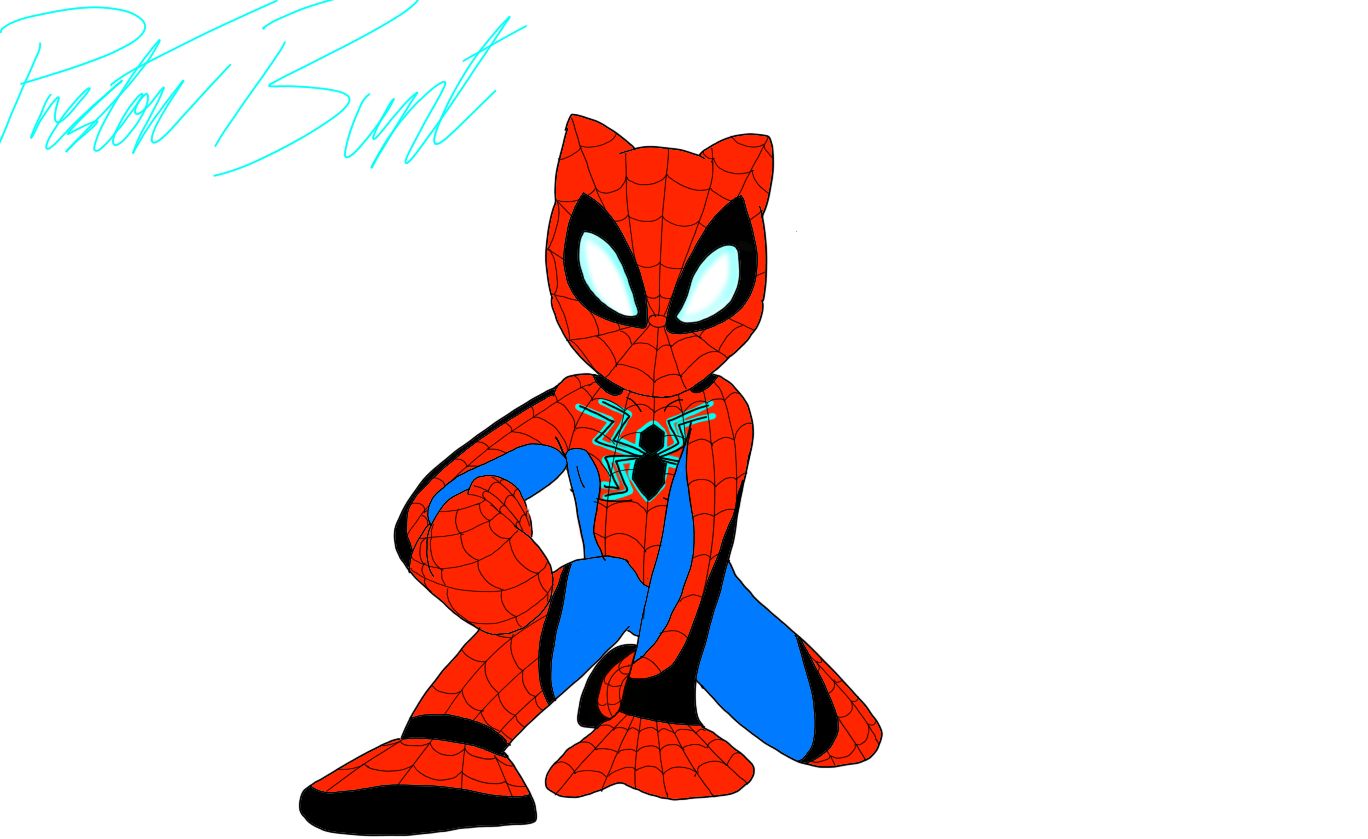Wallpaper #82gwGpMBSpphPi3-aRrE257 Spider Cat by B3n7l3y on Deviantart