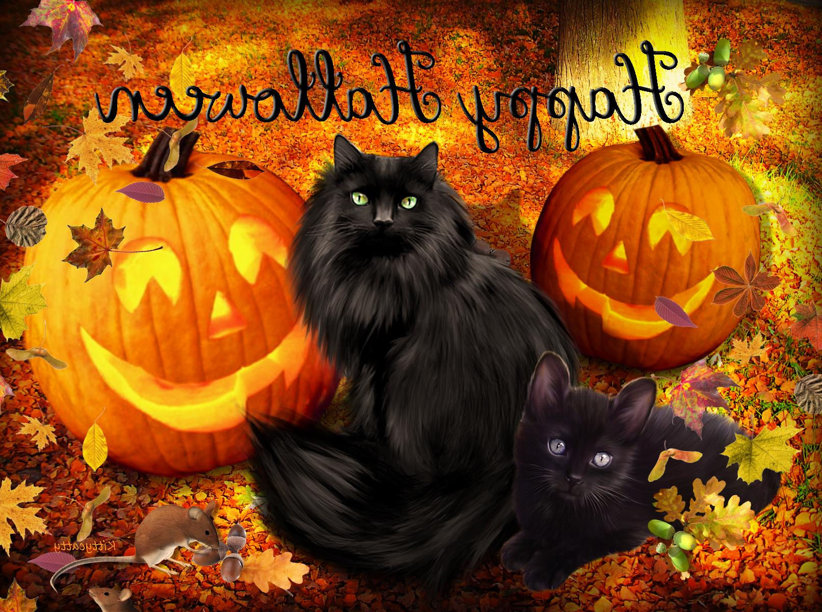 Wallpaper #48eae 30 Adorable Halloween Mobile Wallpapers to Download