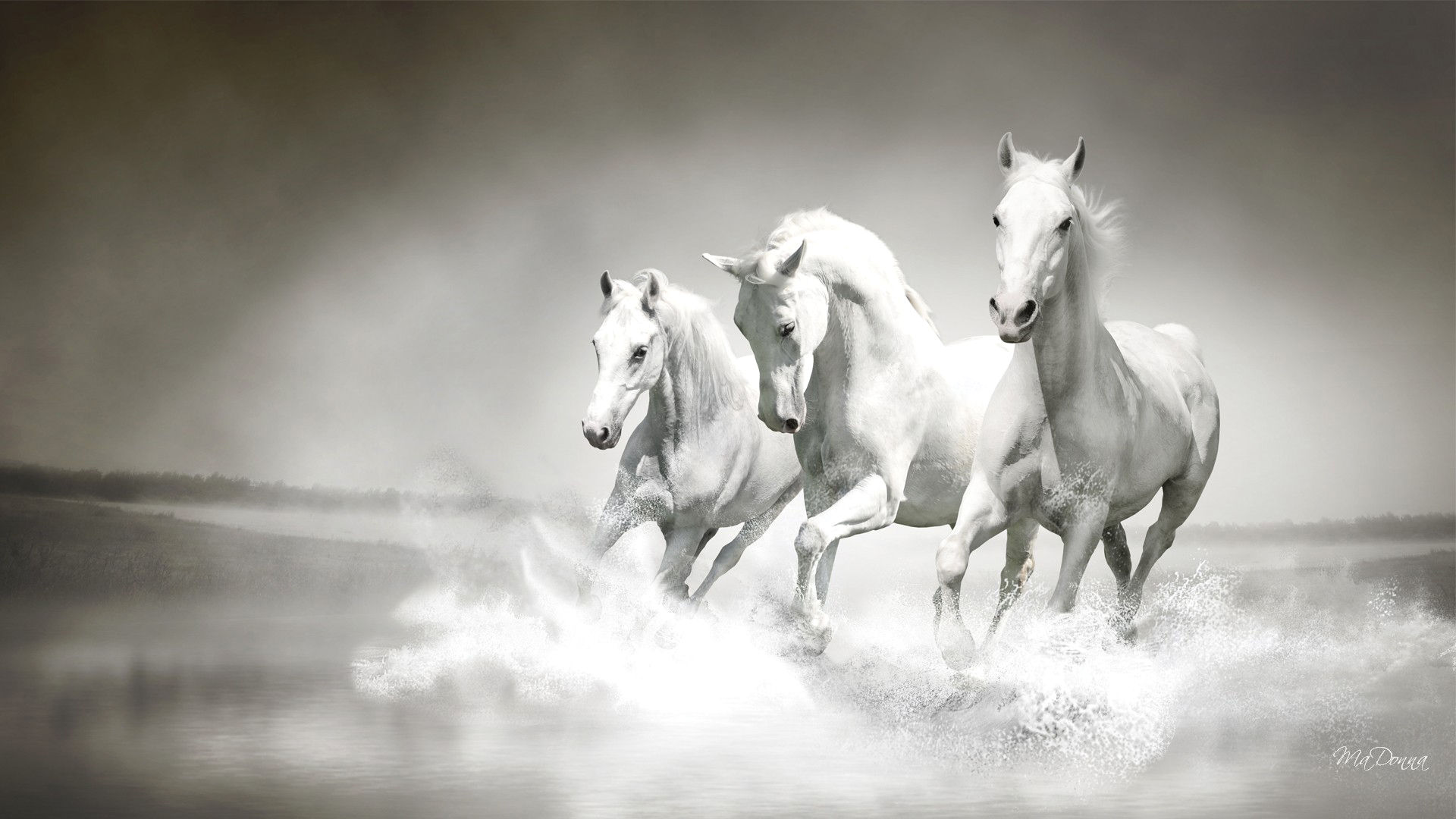 Wallpaper #9h2ULJMBlOZrFDOkbsoH35 Horse Wallpapers Best Wallpapers