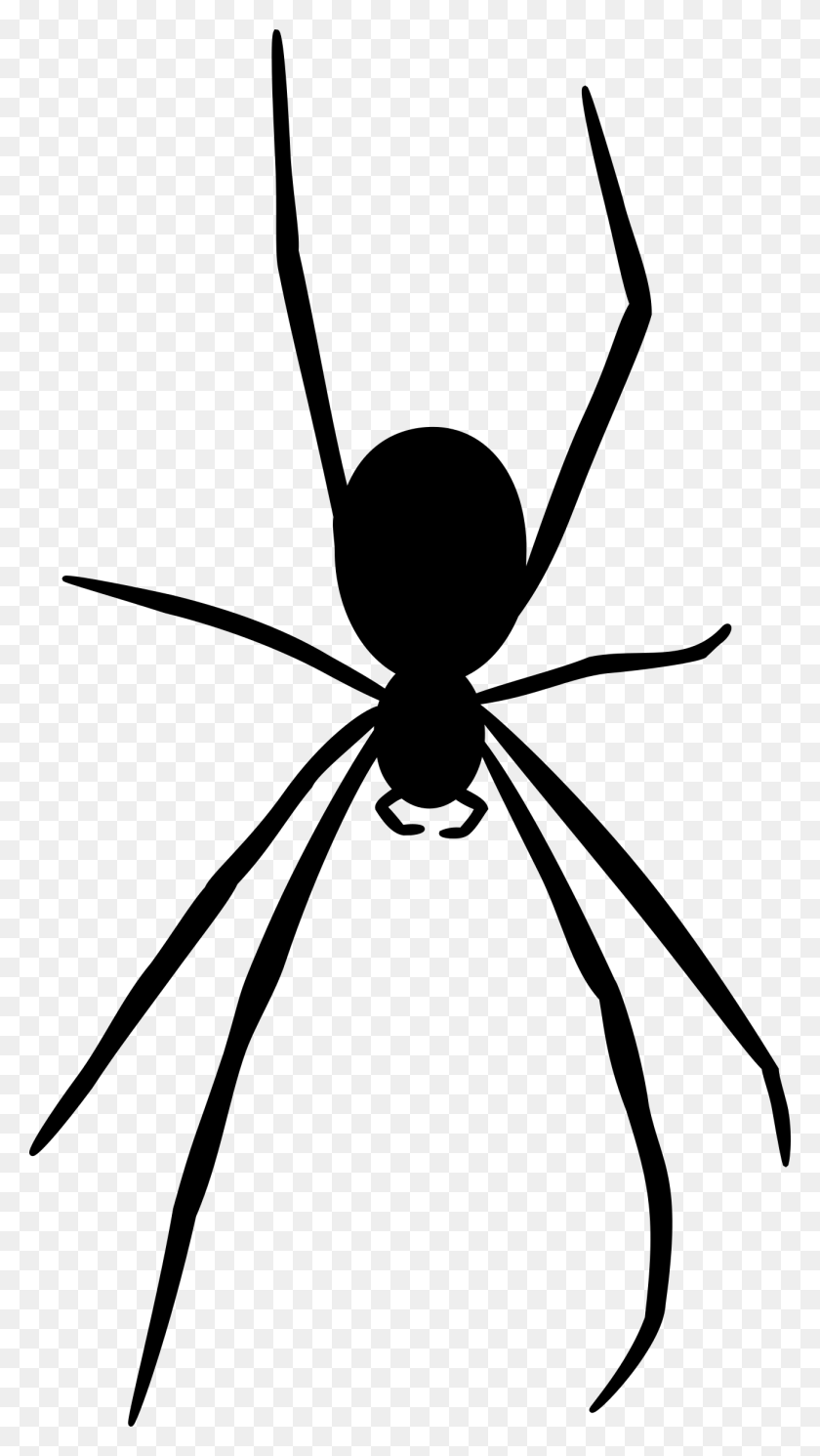 Wallpaper #71bf1 Pin by Kayleigh on Spider Drawings in 2024 Spiderman Drawing