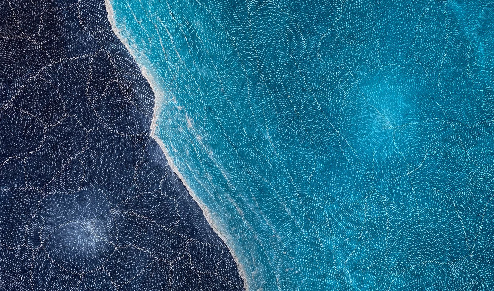 Wallpaper #_Gep6ZIBSpphPi3-WkJU316 Earth Elements by Sarrita King Wentworth Galleries