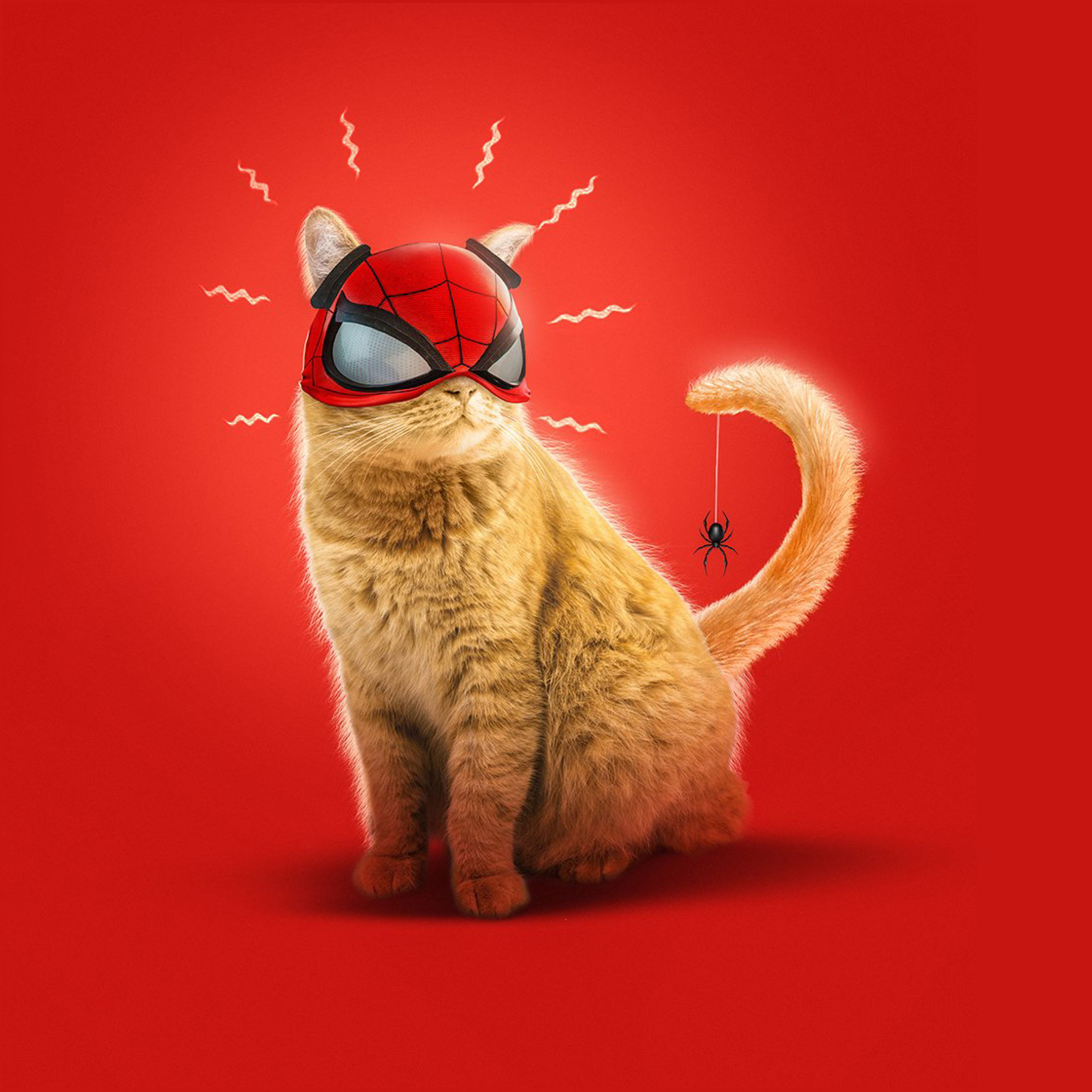Wallpaper #82gwGpMBSpphPi3-aRrE285 2932x2932 Resolution Spider Cat Spider Man Miles Morales Art iPad Pro