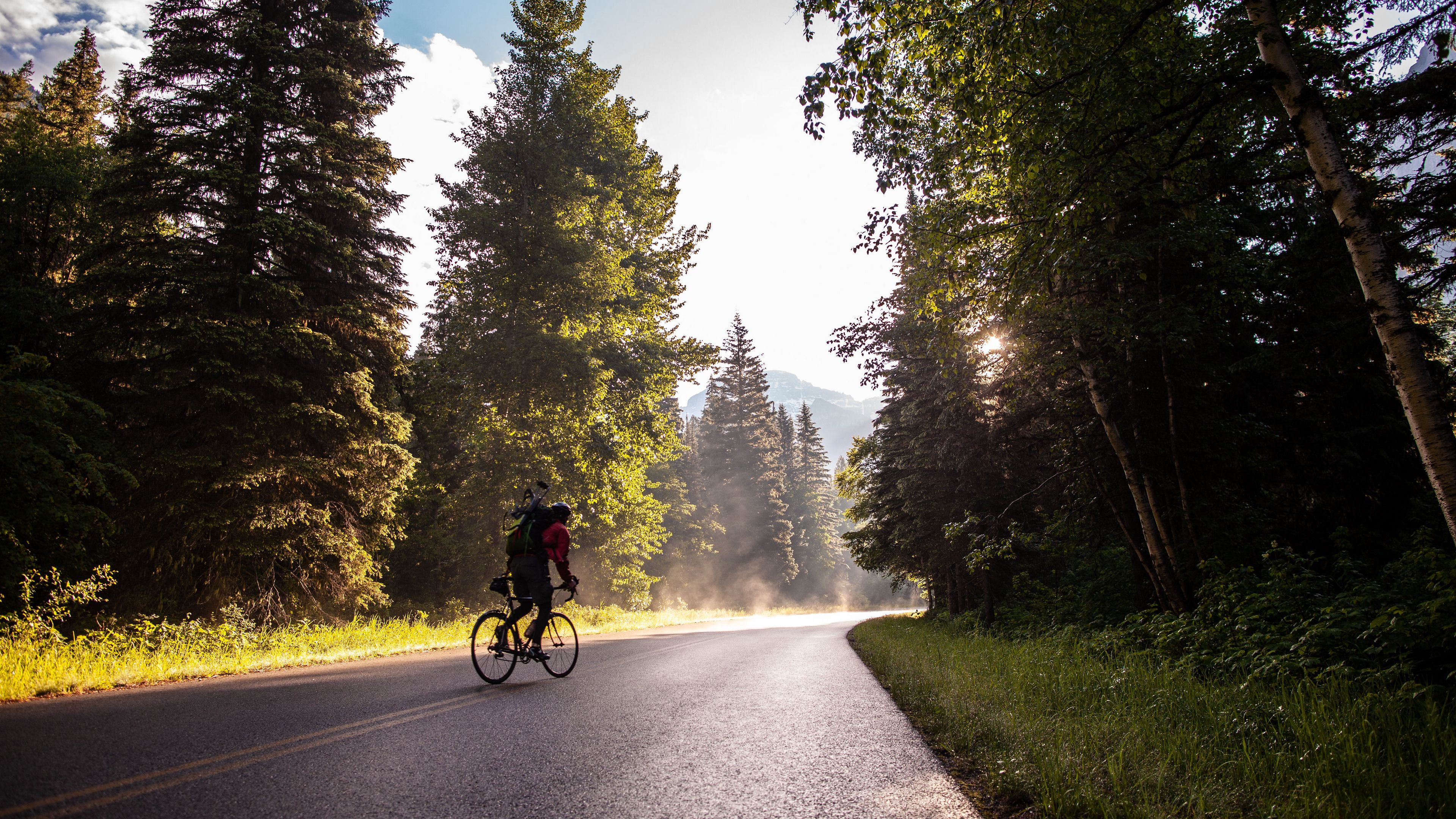 Wallpaper #7wC76o4BSdW8dNouXQ_i42 Download Wallpaper 3840x2160 Bicycle Tourist Cyclist Road Trees 4K