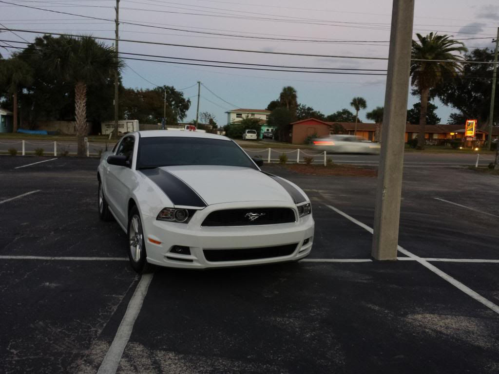 Wallpaper #M2d_CZMBSpphPi3-59AJ184 Calling All Owners of White Mustangs Page 37 Mustangforumscom