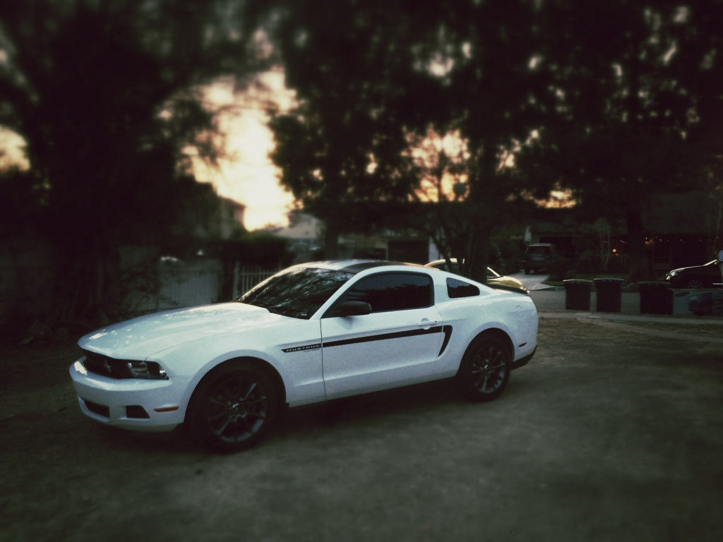Wallpaper #M2d_CZMBSpphPi3-59AJ103 Calling All Owners of White Mustangs Page 14 Mustangforumscom