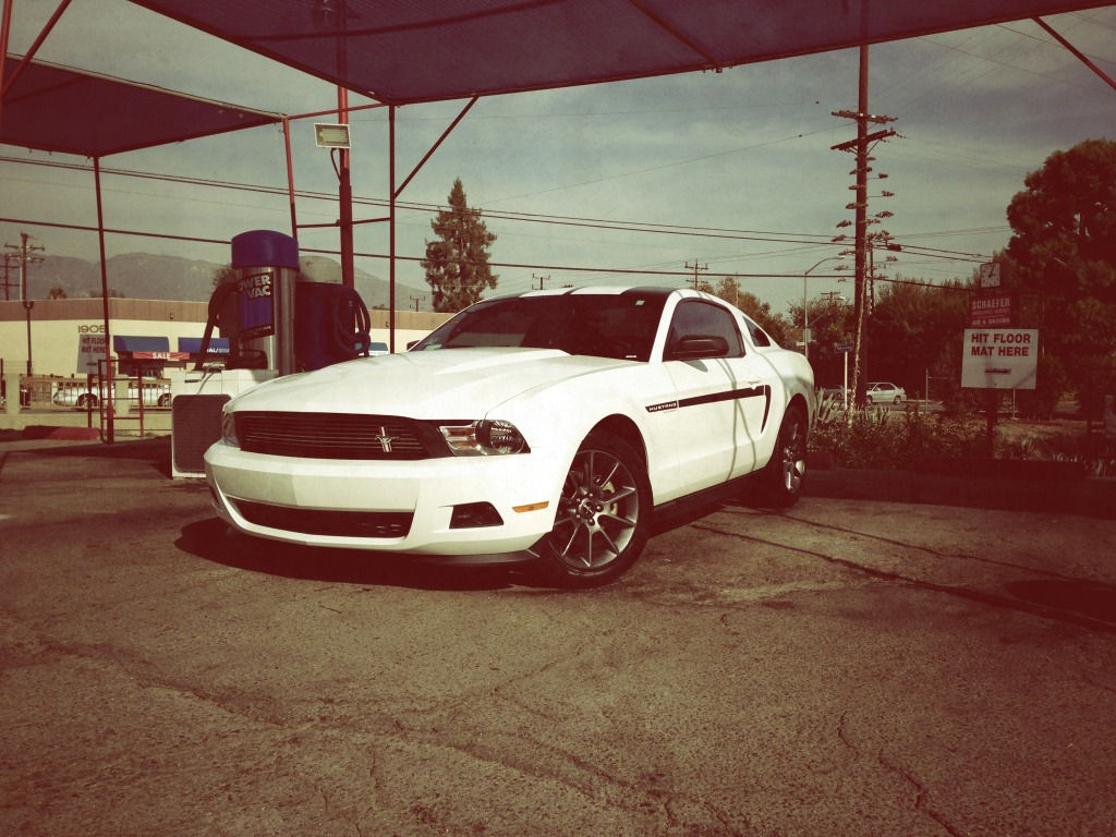 Wallpaper #M2d_CZMBSpphPi3-59AJ125 Calling All Owners of White Mustangs Page 14 Mustangforumscom
