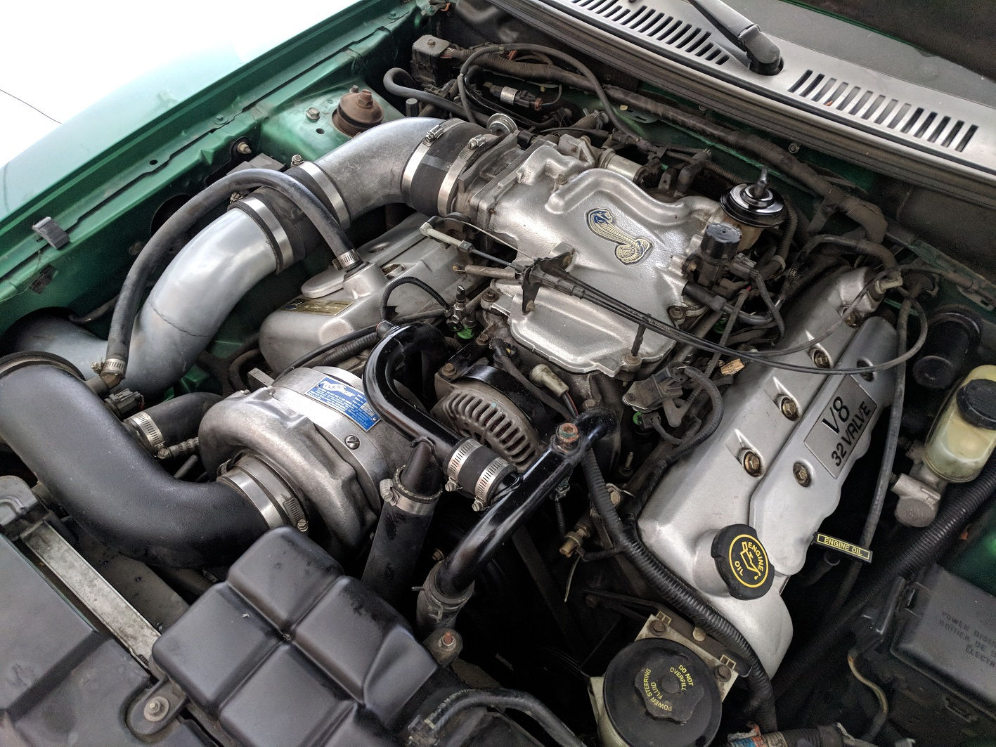 Wallpaper #AGdRA5MBSpphPi3-tLOH298 Engine Issue on 1999 Cobra Repair or Sell as is Mustangforumscom