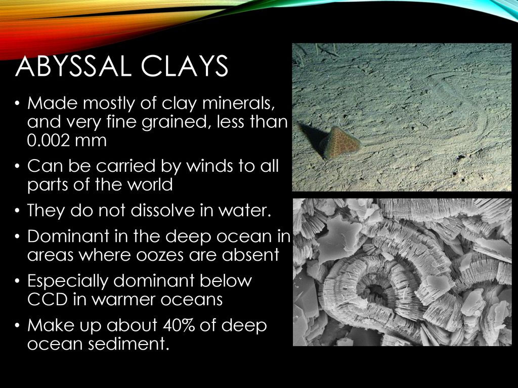 Wallpaper #0Wcq-pIBSpphPi3-O4_22 Deep Sea Sediments Ppt Download