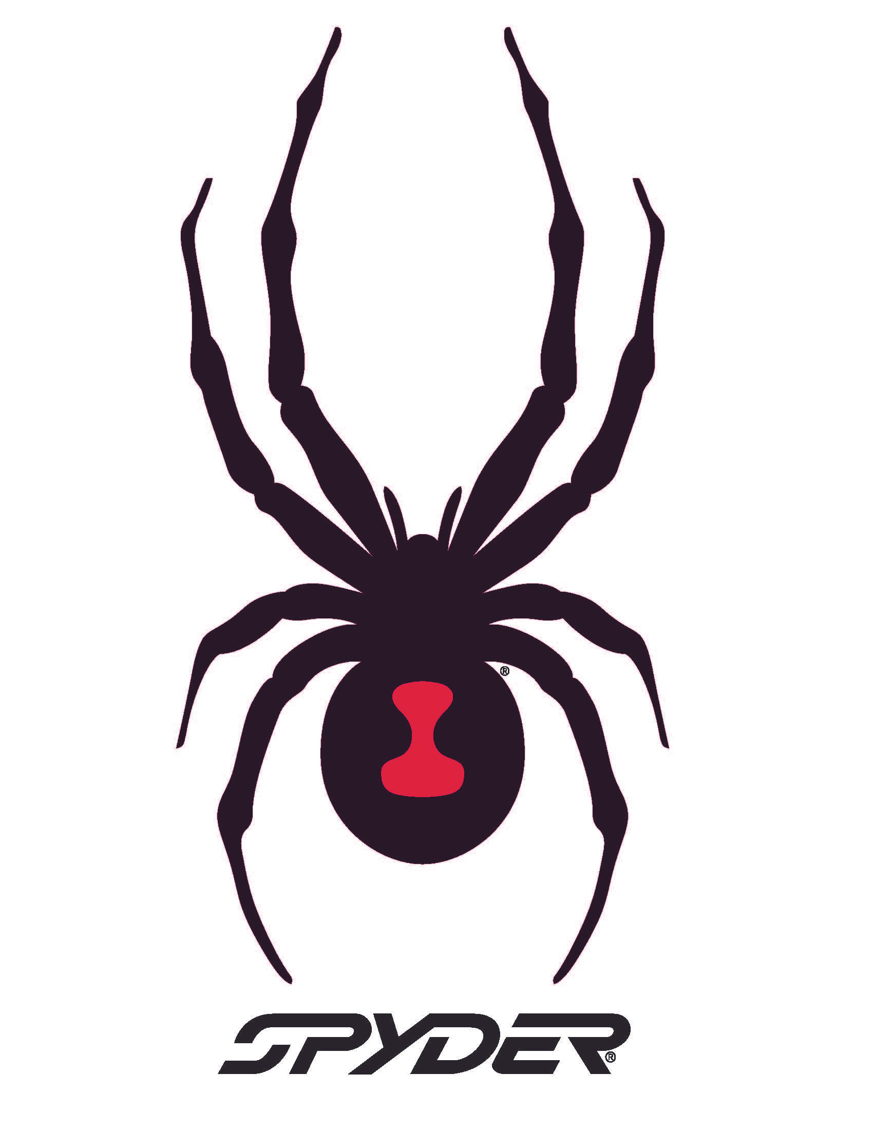 Wallpaper #YlhmNJMBzN9vxX34Wjzx124 What Brand Has a Spider Logo Peepsburghcom