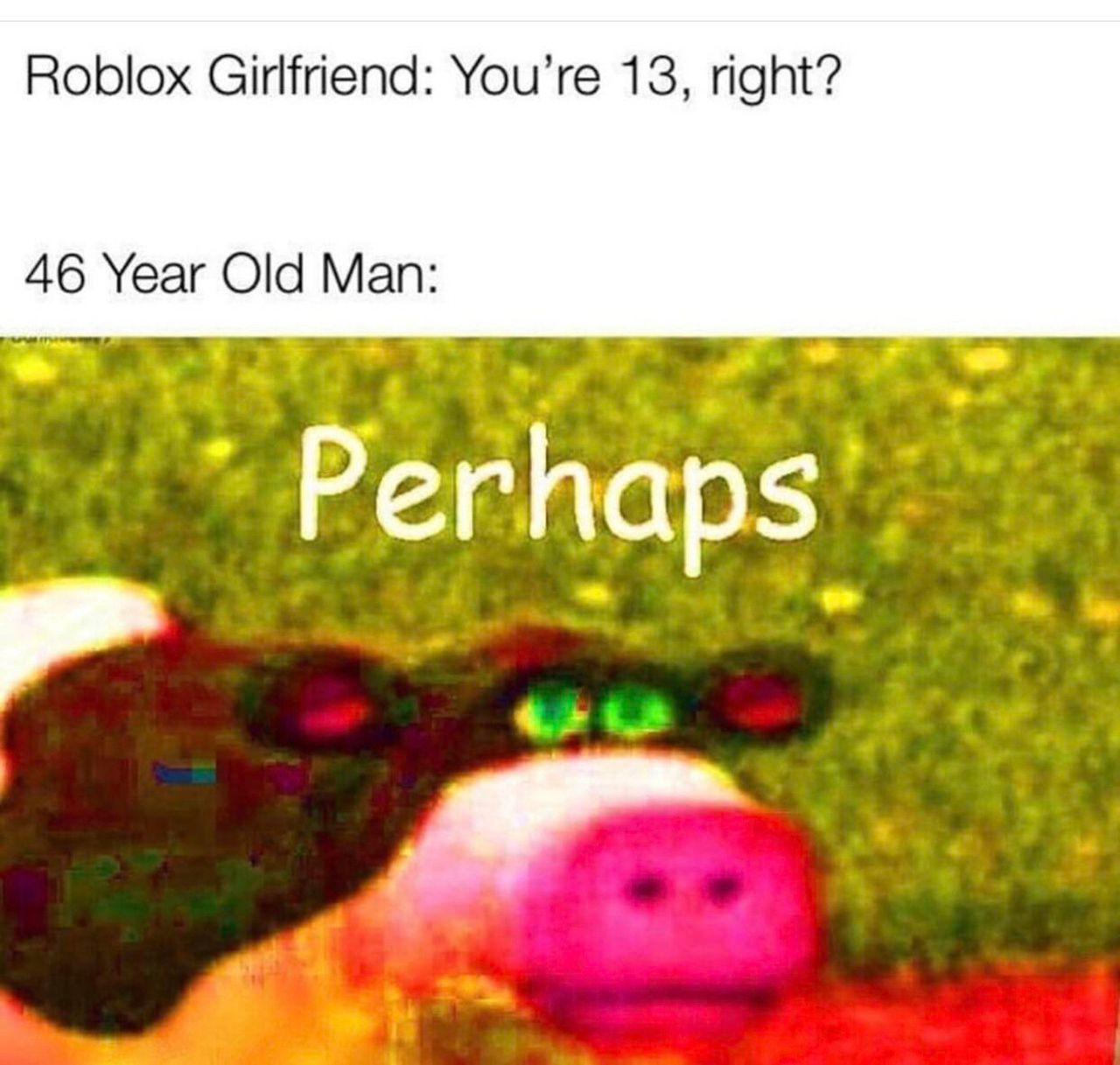 Wallpaper #82hxJJMBSpphPi3-4jgI43 13 Hilarious Roblox Memes