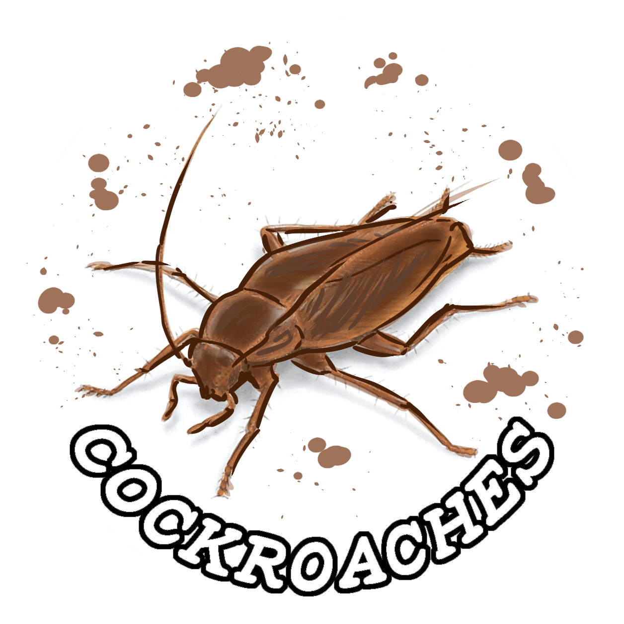 Wallpaper #SWdXCpMBSpphPi3-q9Qk321 Download Cockroaches Named Variant Weevil Full Size Png Image Pngkit