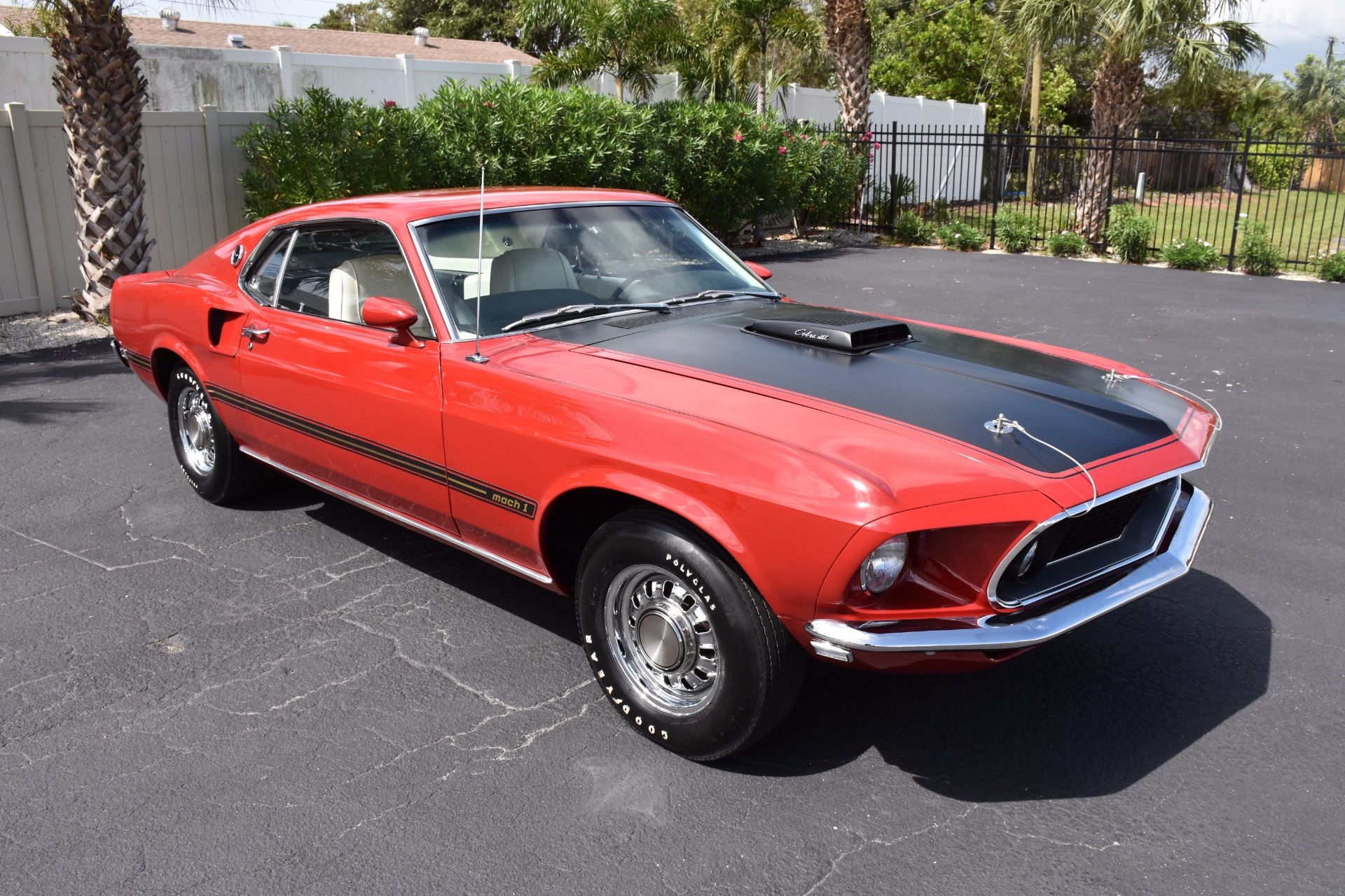 Wallpaper #cH0B8I4Bnwiau_P6sgXp5 1969 Ford Mustang Mach 1 428 Cobra Jet 0 Candy Apple Red Coupe 428ci