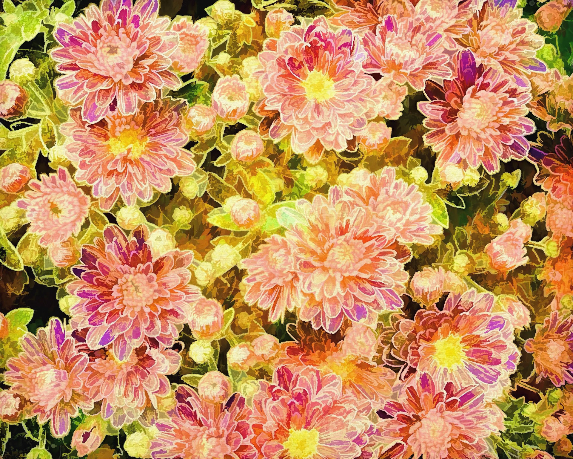Wallpaper #4GdP9JIBSpphPi3-k3mn315 Flower Pattern Free Stock Photo Public Domain Pictures