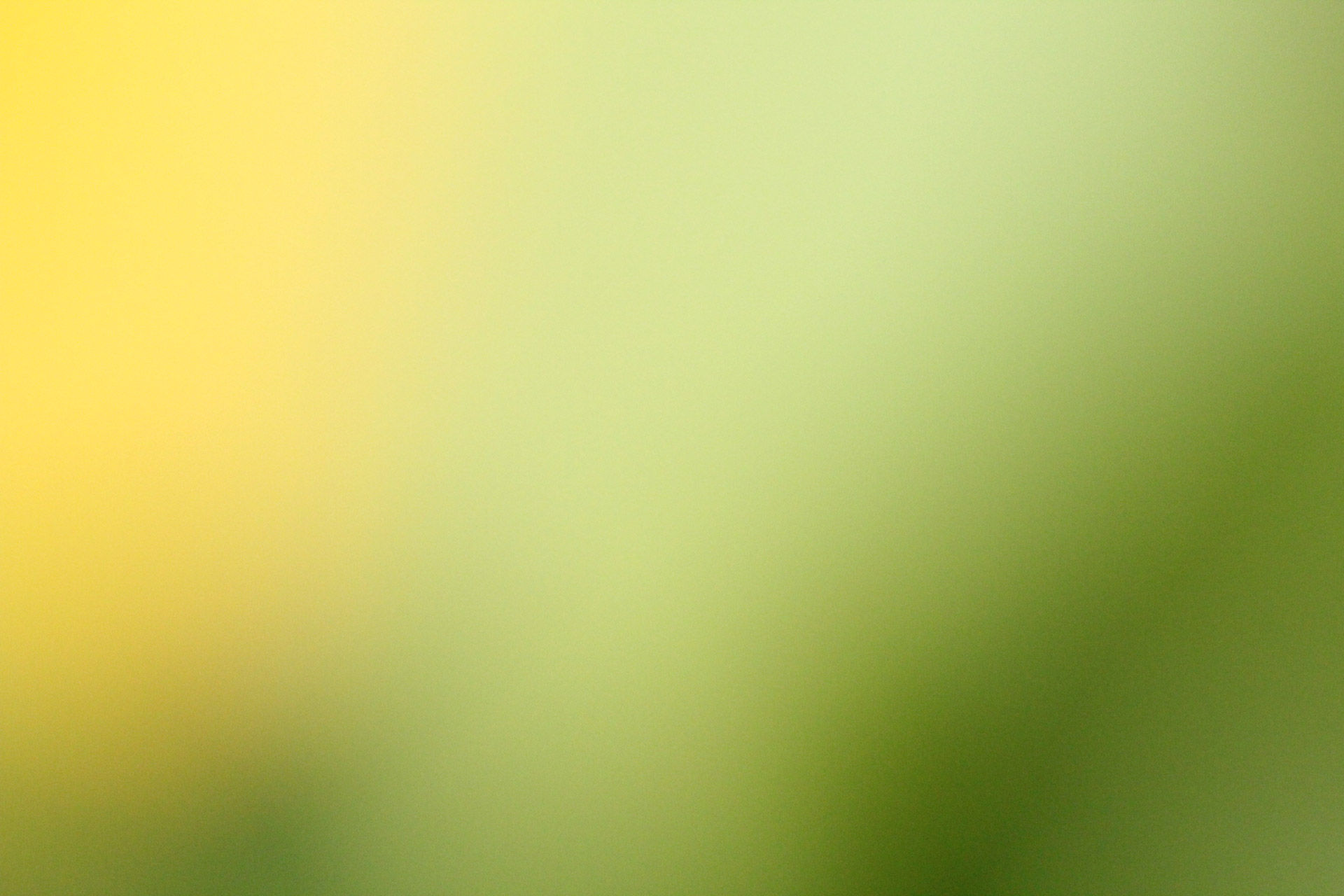 Wallpaper #i2cO9ZIBSpphPi3-vn0v250 Yellow Green Blur Background Free Stock Photo Public Domain Pictures