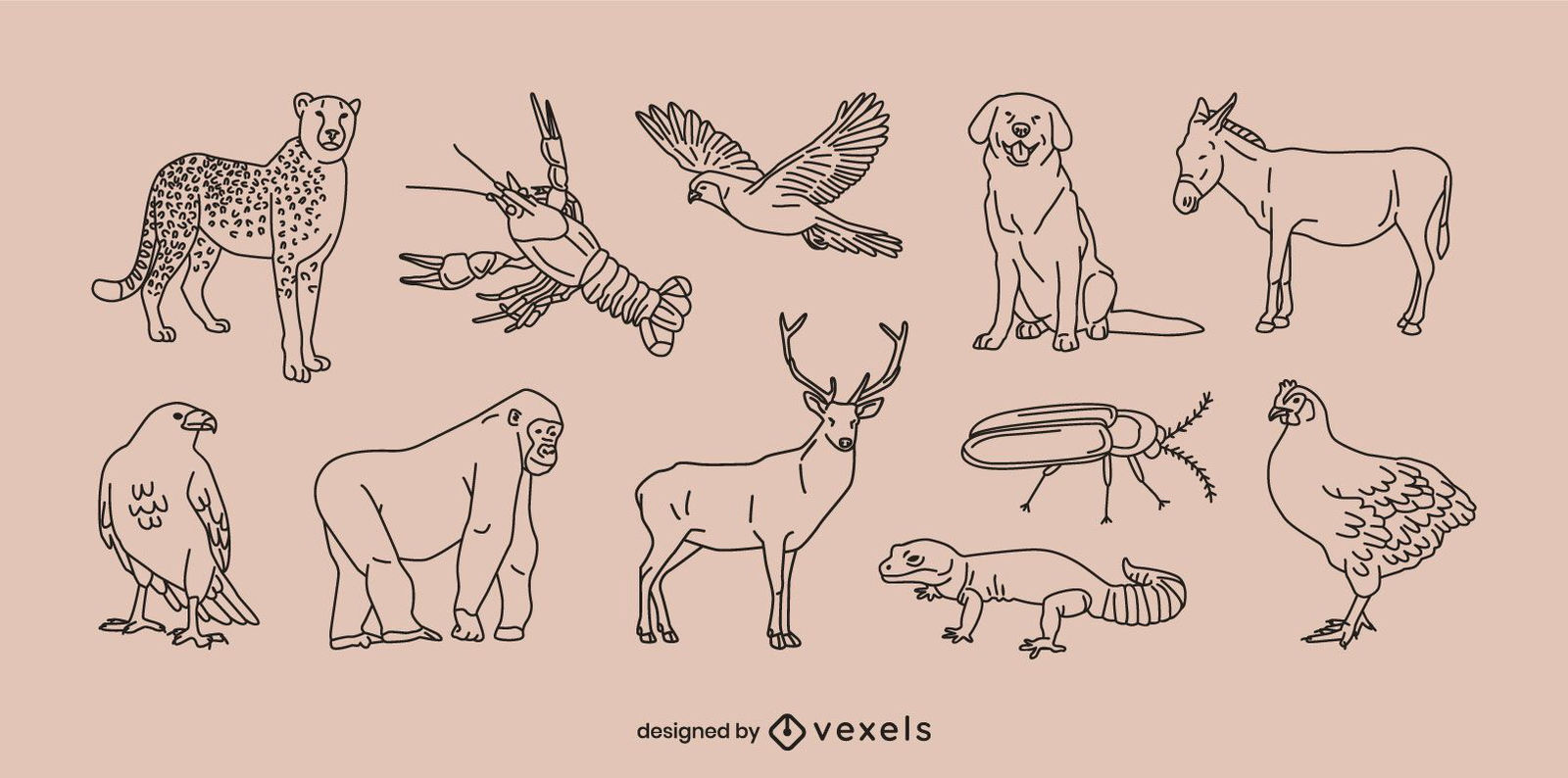 Wallpaper #sZy14pIBZHQxiYarjMHJ40 Various Wild Animals Line Art Set Vector Download