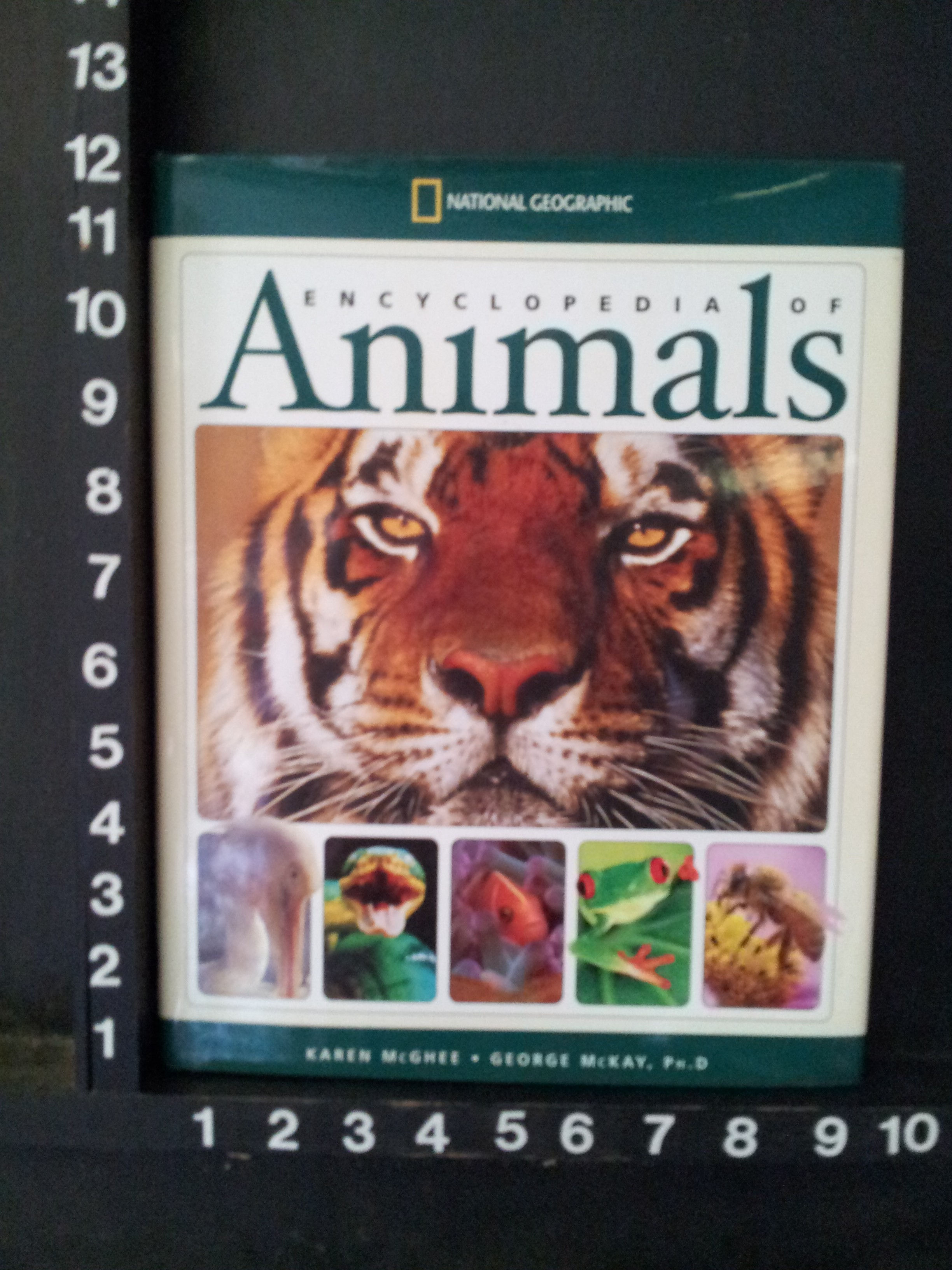 Wallpaper #VGfV_5IBSpphPi3-BKSc248 National Geographic Encyclopedia of Animals Warehouse Books