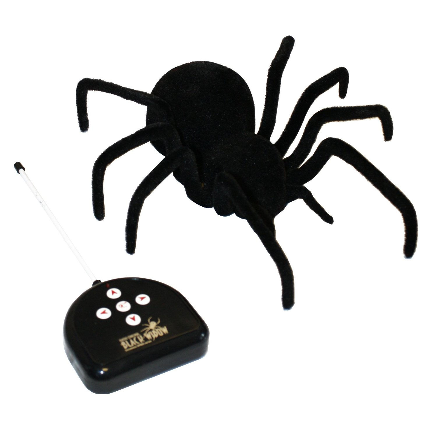 Wallpaper #CfQhOpMBKFX8bn3r83gp34 Hgl Remote Controlled Tarantula Spider for Creep Crawly Toys Gifts