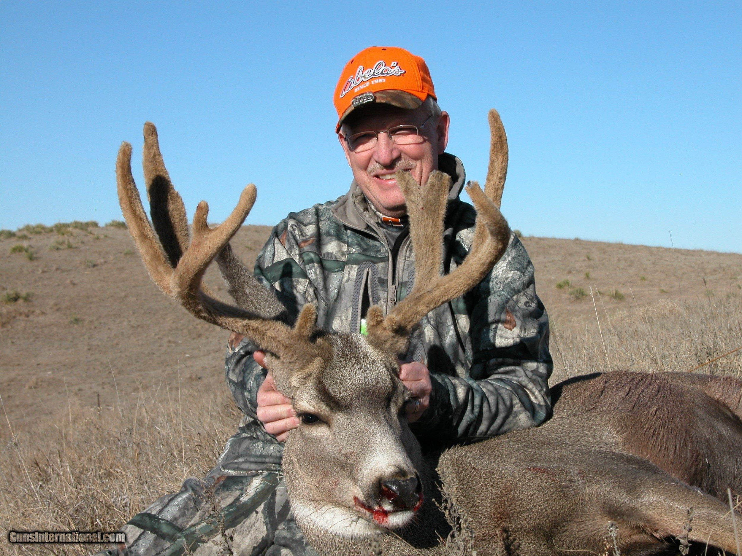 Wallpaper #FmiZE5MBSpphPi3-2gHs230 Nebraska Mule Deer or Whitetail Hunters Choice 4 Day Hunt with