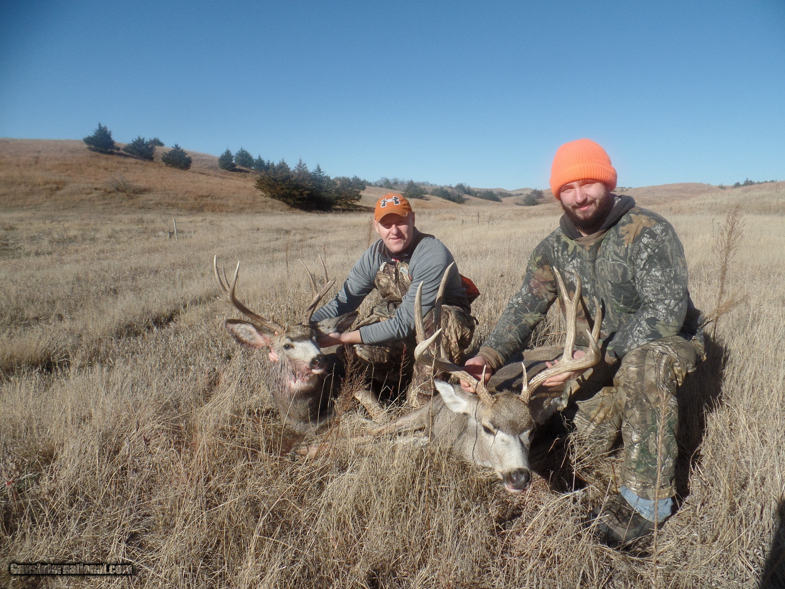 Wallpaper #FmiZE5MBSpphPi3-2gHs243 Nebraska Mule Deer or Whitetail Hunters Choice 4 Day Hunt with