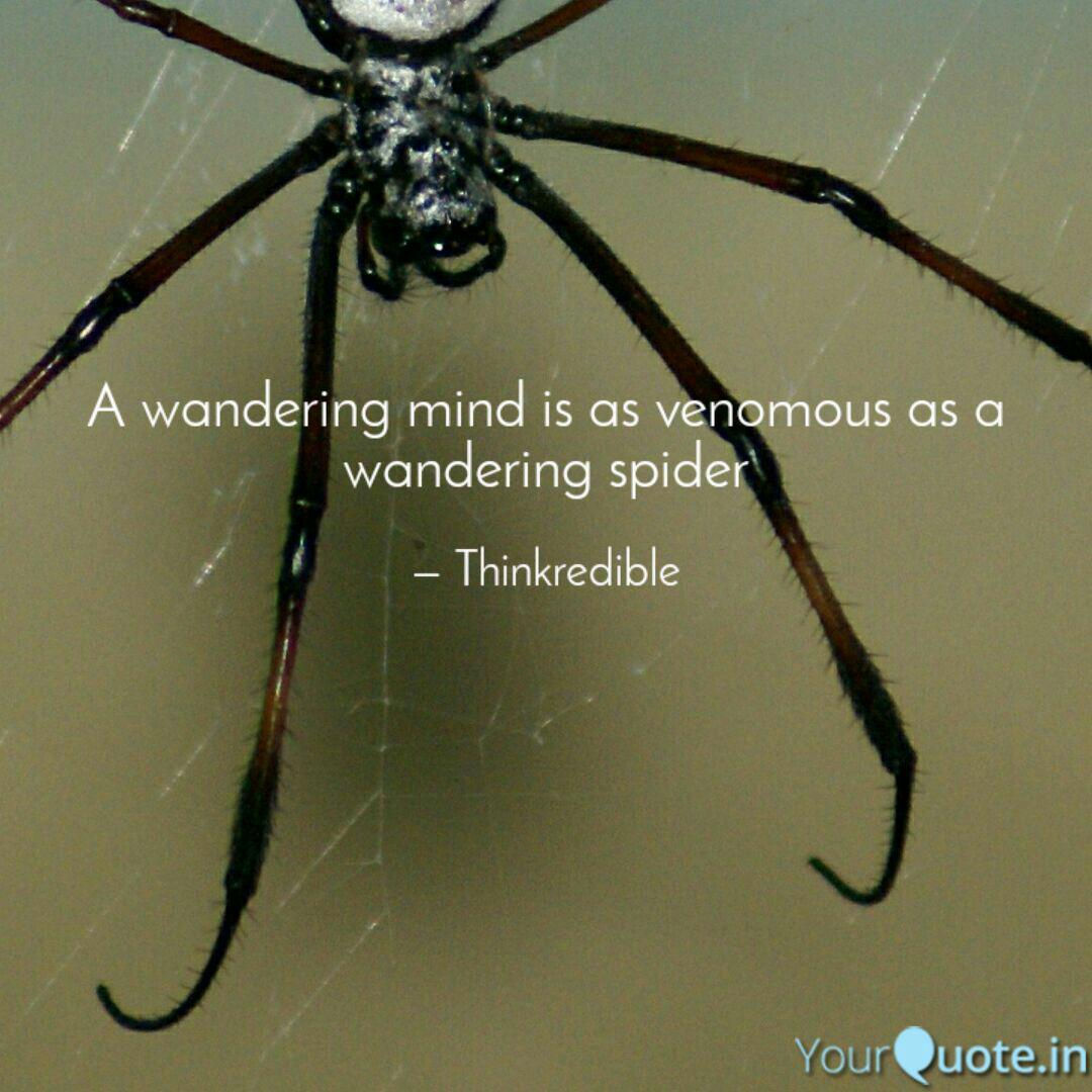 Wallpaper #9FiONJMBzN9vxX34-Dwl27 Best Spider Quotes Status Shayari Poetry Thoughts Yourquote