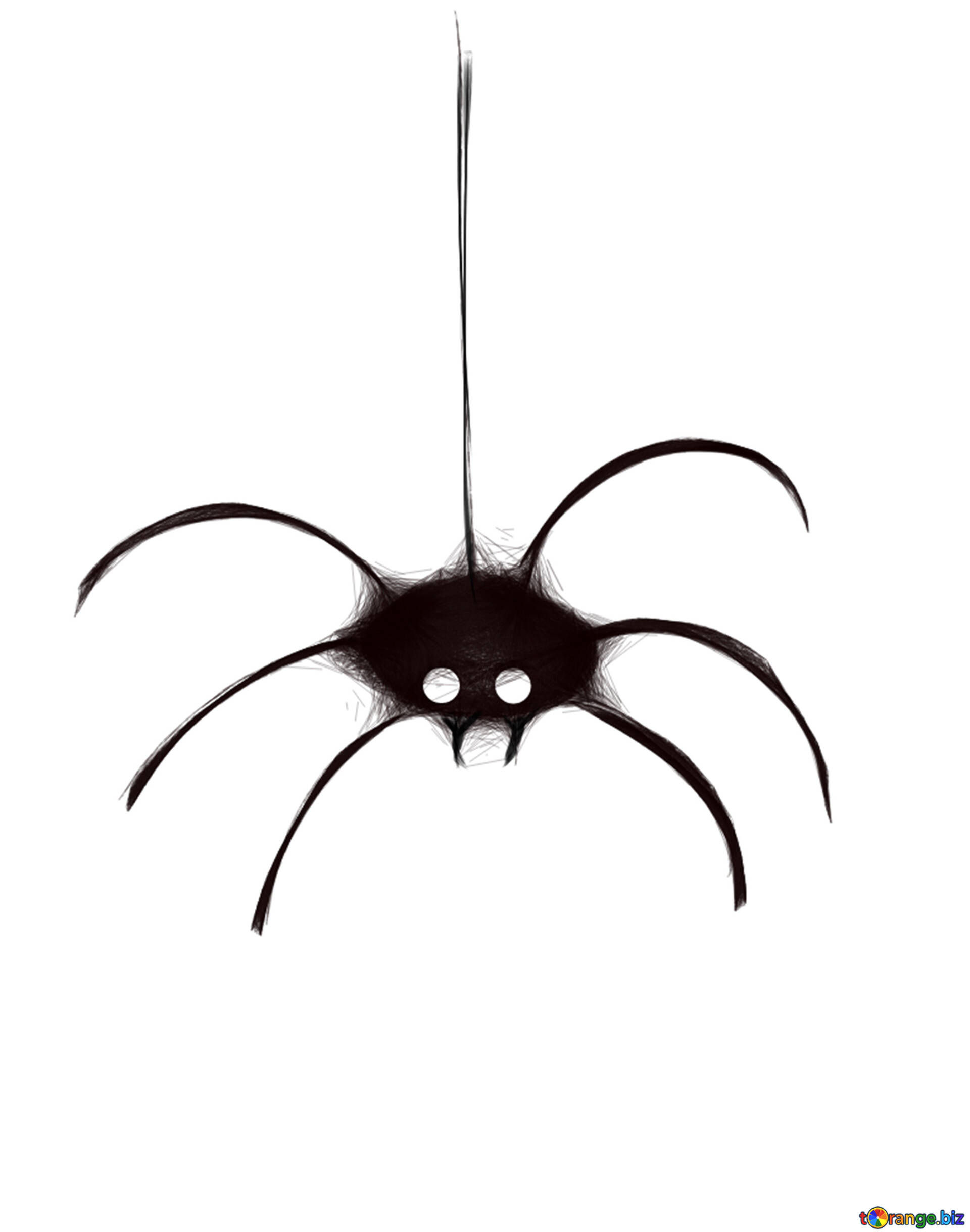 Wallpaper #k_RZOpMBKFX8bn3rE3j0183 Clipart for Halloween Spider Free Image 40486