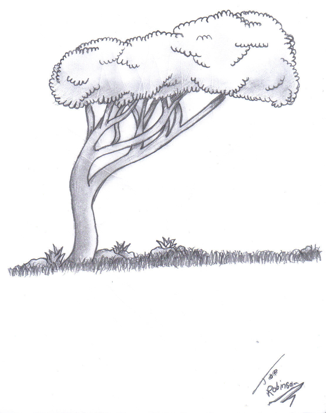 Wallpaper #BWgvFZMBSpphPi3-Zwec121 Tree Pencil by Darkest Drawings on Deviantart