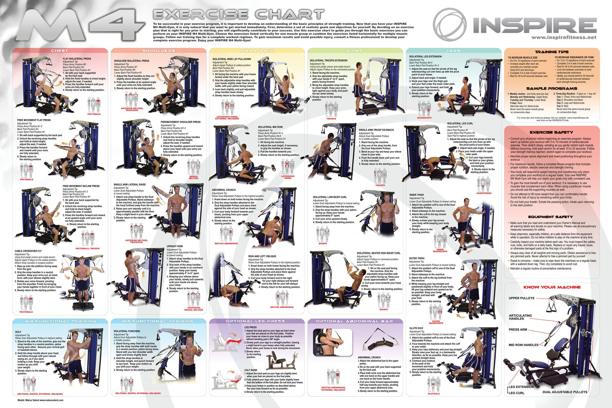 Wallpaper #FF7FB The Suspension Workout Chart Shows How to Do It and What You Can Do with It