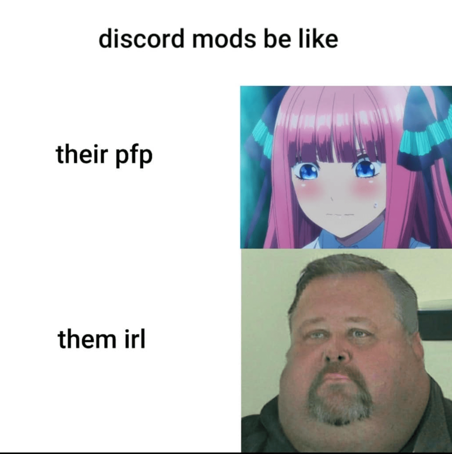 Wallpaper #_RlqDo8BtGB6xQ78C1kk38 View 28 Funny Pfp Meme Profile Pictures for Discord