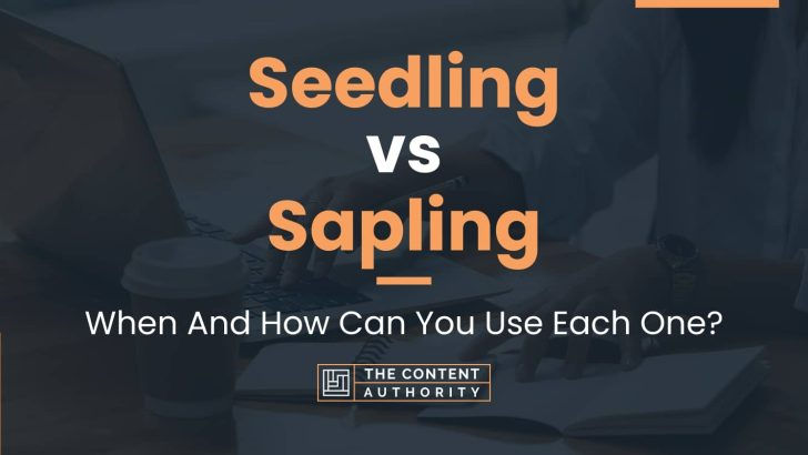 Wallpaper #LLgH2JIBJvJKYCmEj-Yl131 Seedling vs Sapling When and How Can You Use Each One