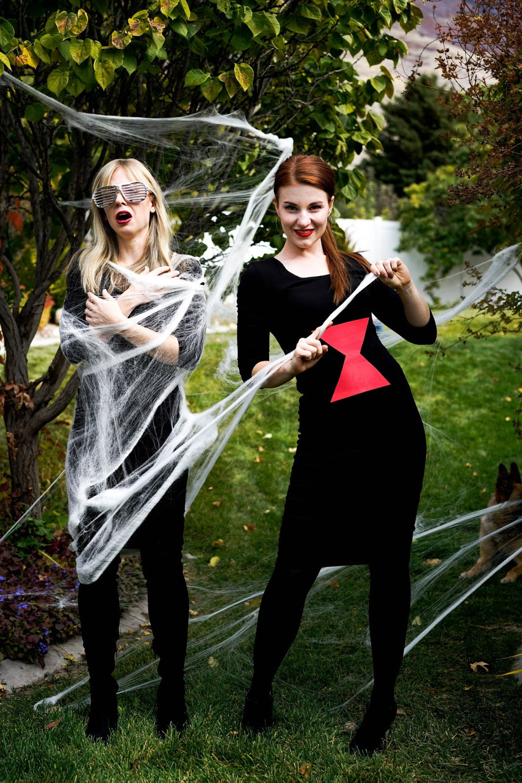 Wallpaper #LF7lMpMBborbLbczDmCY117 Do It Yourself Divas Diy Spider and the Fly Halloween Costumes