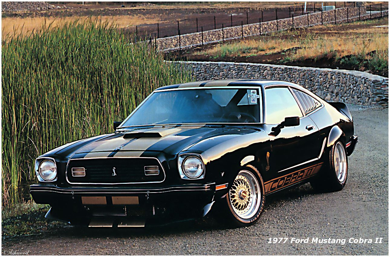 Wallpaper #8lhENJMBzN9vxX34ijvu110 The Old Timer the Collections Ford Mustang 2 Cobra