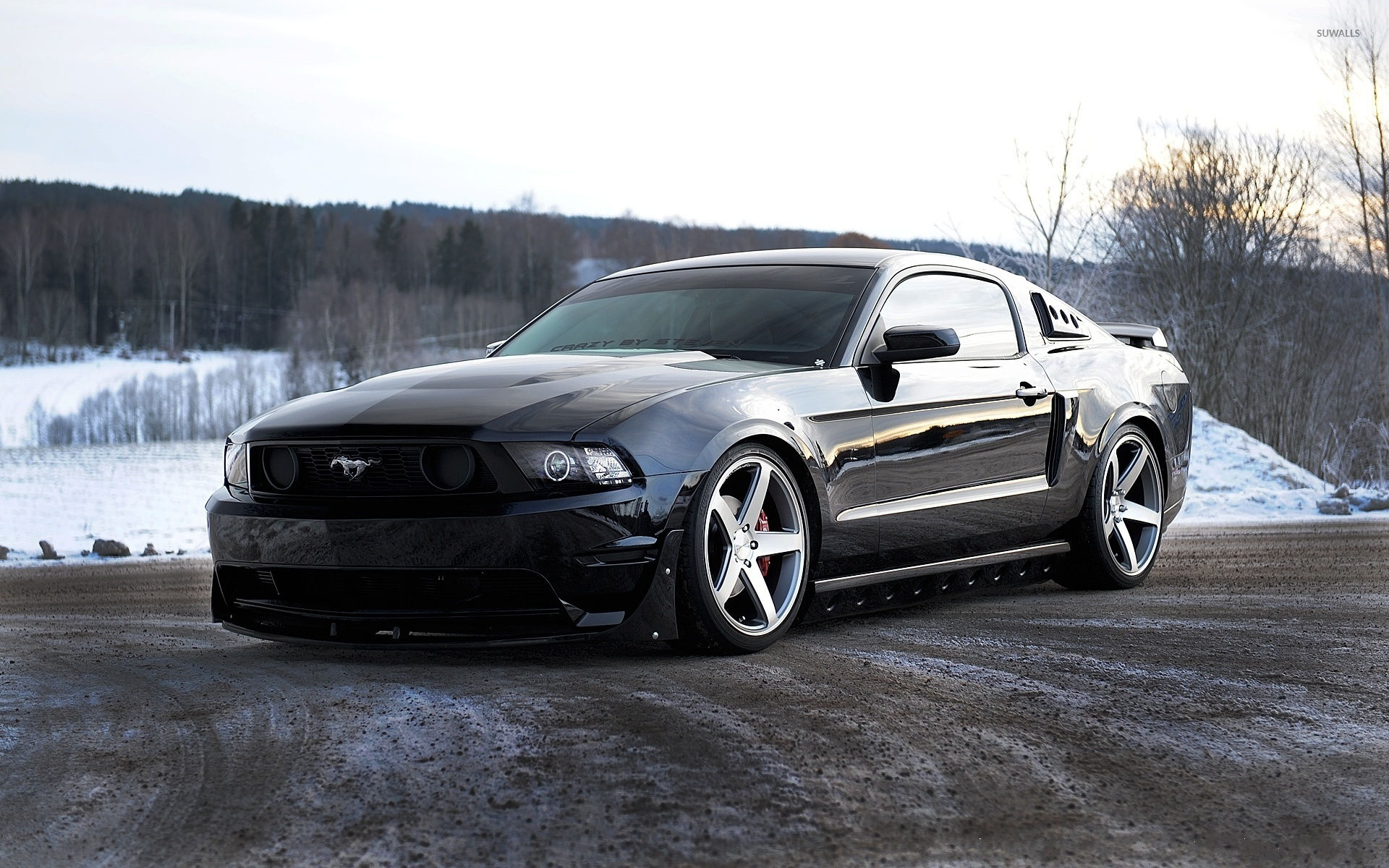 Wallpaper #k32H8Y4Bnwiau_P6zQlY2 Black Ford Mustang Front View Wallpaper Car Wallpapers 48954
