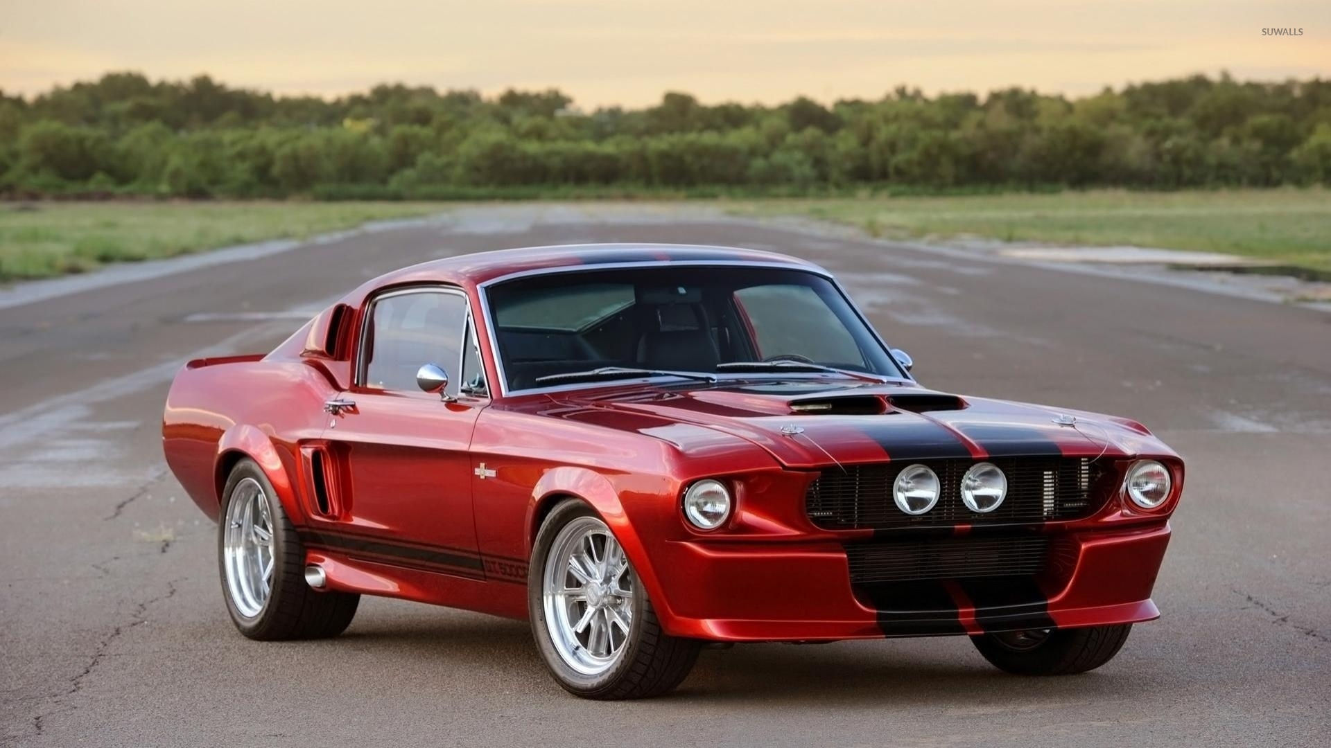 Wallpaper #k32H8Y4Bnwiau_P6zQlY1 Ford Mustang Front View Wallpaper Car Wallpapers 49171