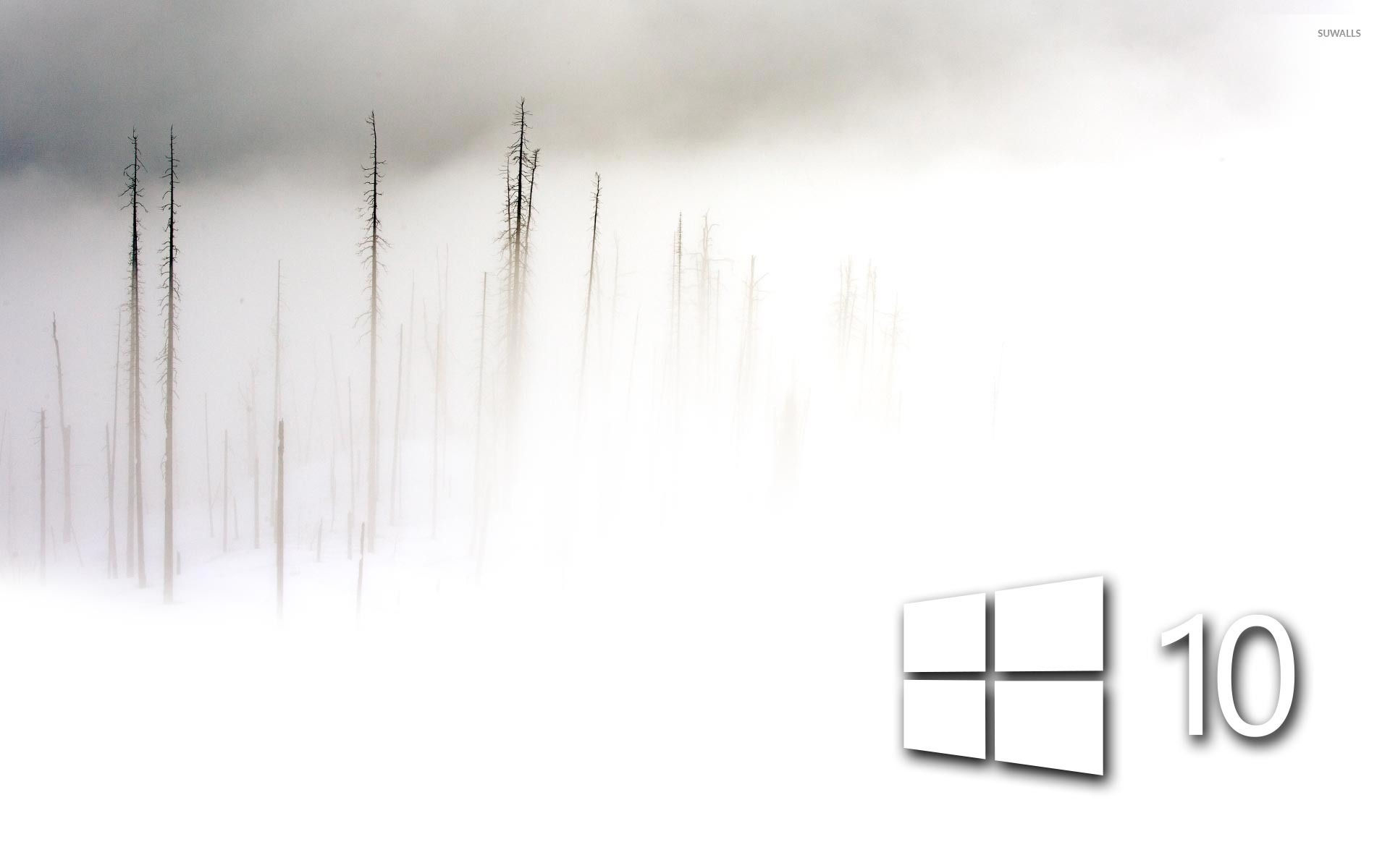 Wallpaper #1W0Na5cBycdYOYFTfHFU28 Windows 10 in the Foggy Winter Day Simple White Logo Wallpaper