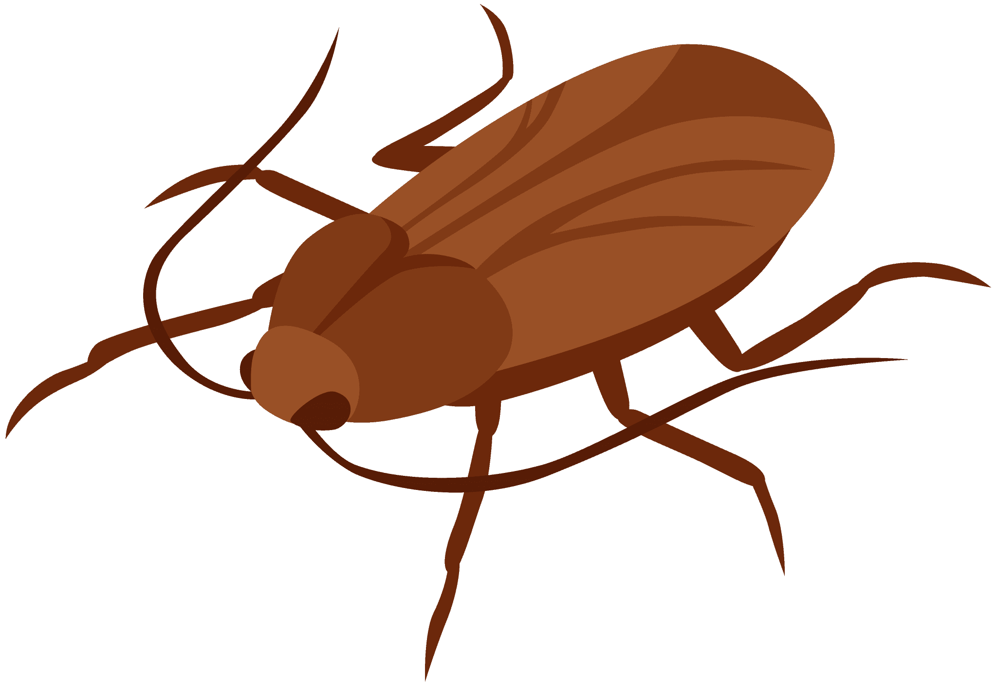 Wallpaper #SWdXCpMBSpphPi3-q9Qk139 Kissclipart Cockroach Clipart Cockroach Insect Clip Art