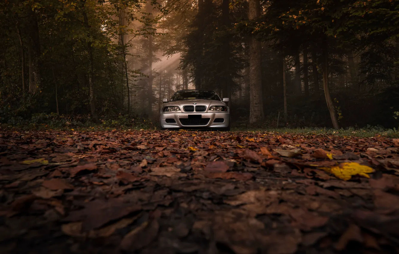 Wallpaper #1hmBB48BtGB6xQ78rla548 Wallpaper BMW Autumn E46 M3 for Mobile and Desktop Section BMW