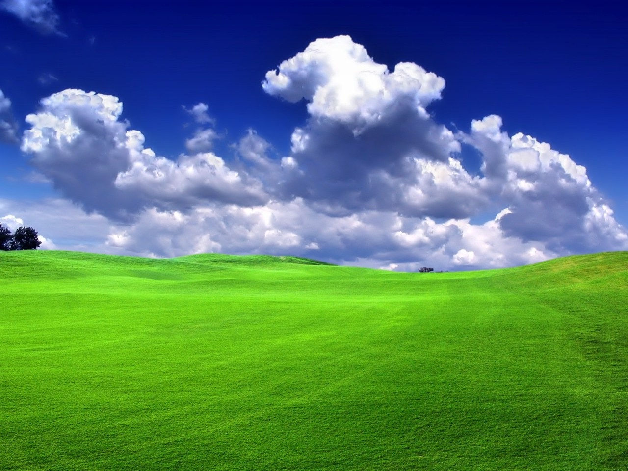 Wallpaper #Z3QYvY4B_8f4nGFaPGsi19 Download Wallpaper Green Grass Windows Xp Green Wallpapers