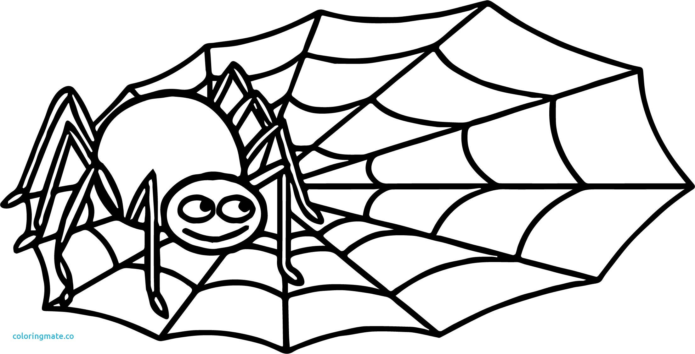 Wallpaper #sQMhZJMBpyOg8YnEWNZf247 Spider Web Coloring Page at Getdrawings Free Download