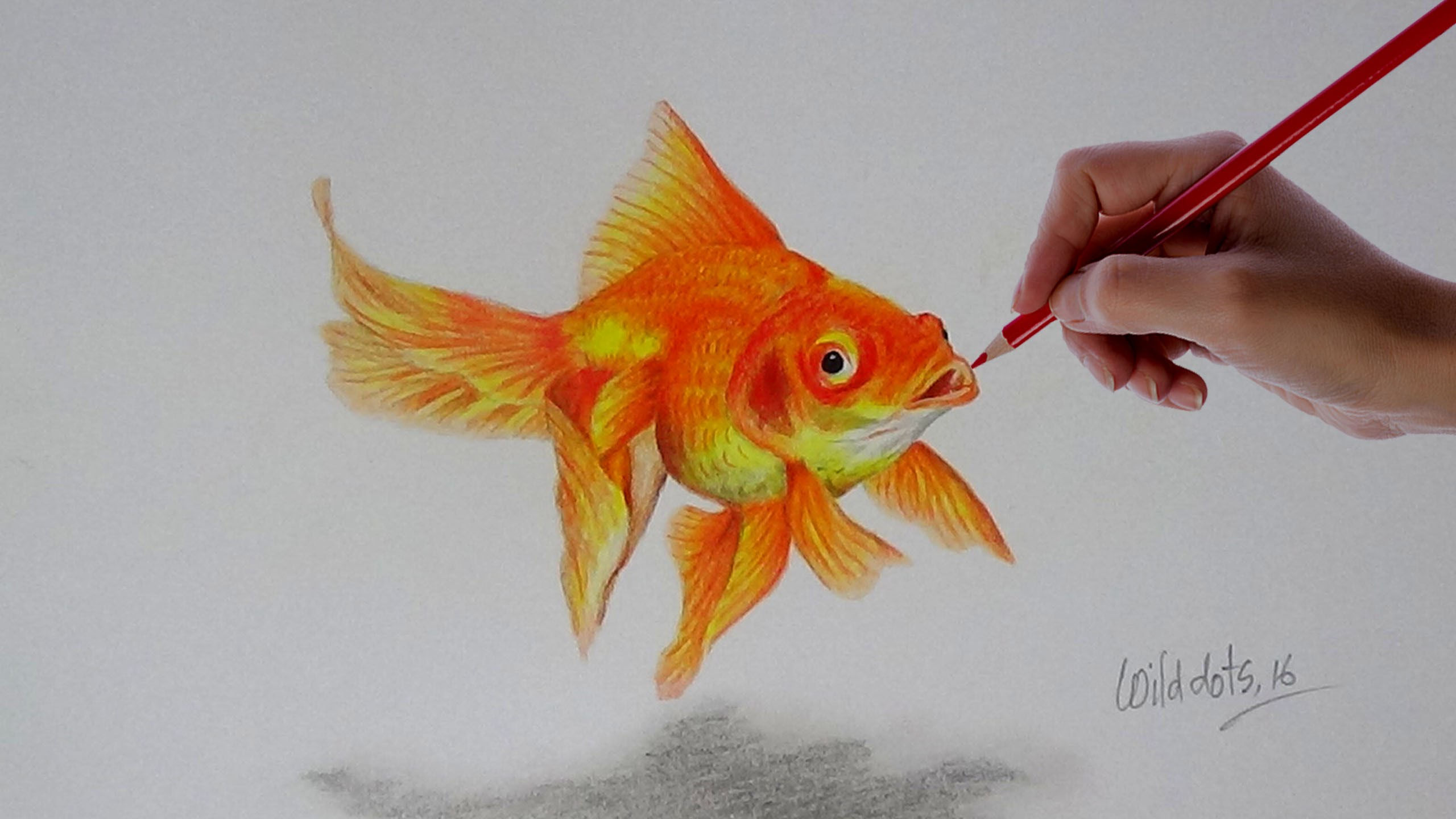 Wallpaper #4f2e6 Koi Fish Heart Original Watercolor Painting Etsy