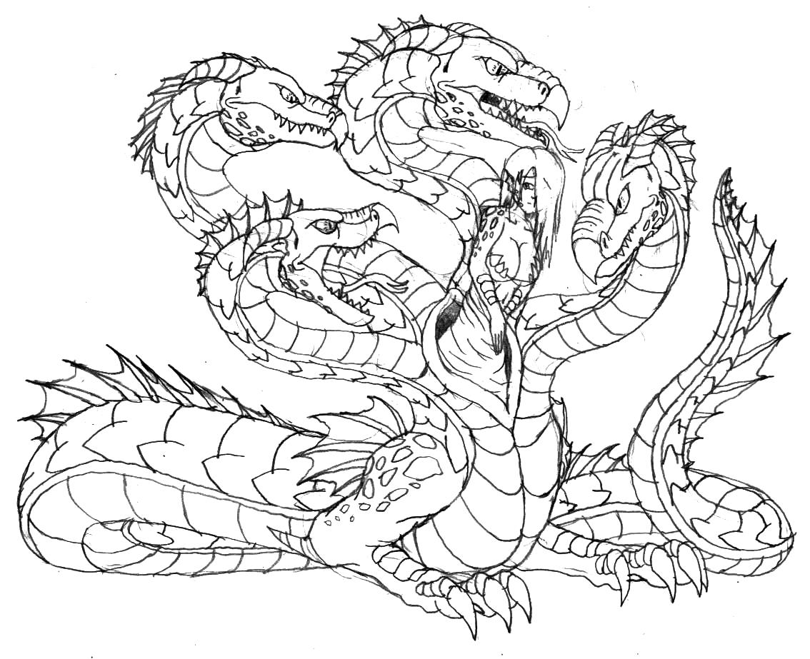 Wallpaper #e2cOBpMBSpphPi3-b78W299 Hydra Drawing at Getdrawings Free Download