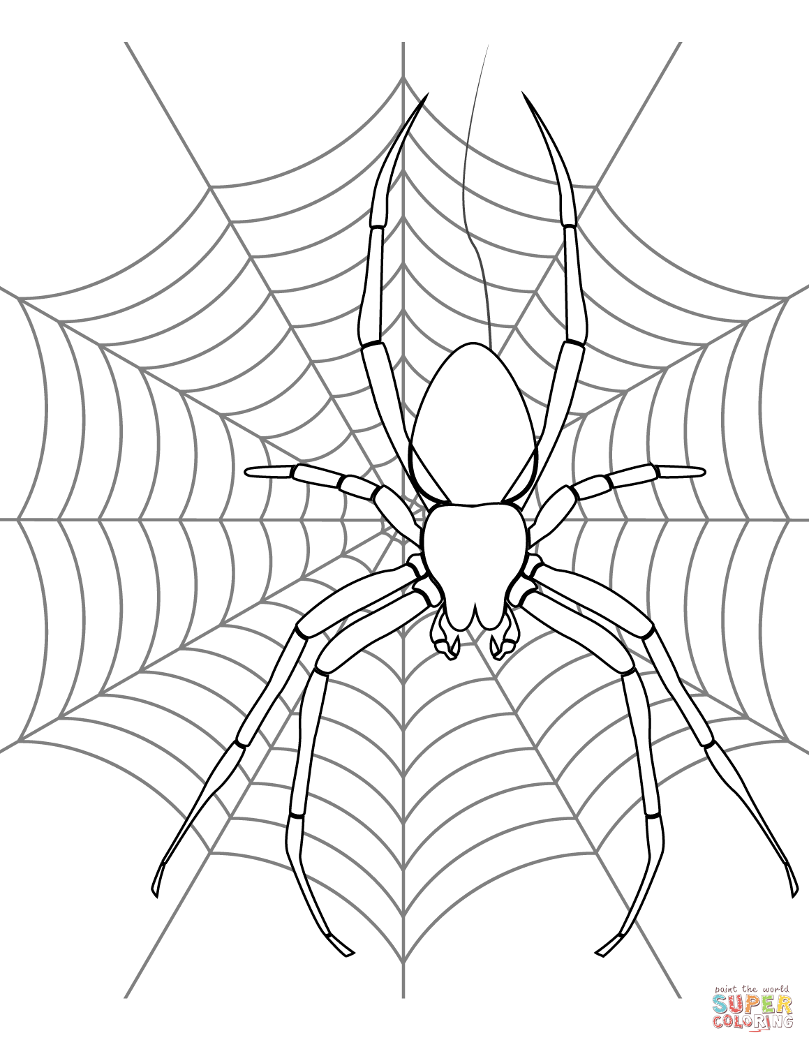 Wallpaper #x2c66pIBSpphPi3-ekXO114 New Coloring Pages Spider Web Colouring Pages Spider Coloring Pages