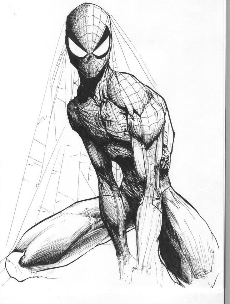 Wallpaper #q7gk1pIBJvJKYCmEoNw016 Spiderman Drawing in Pencil at Getdrawings Free Download