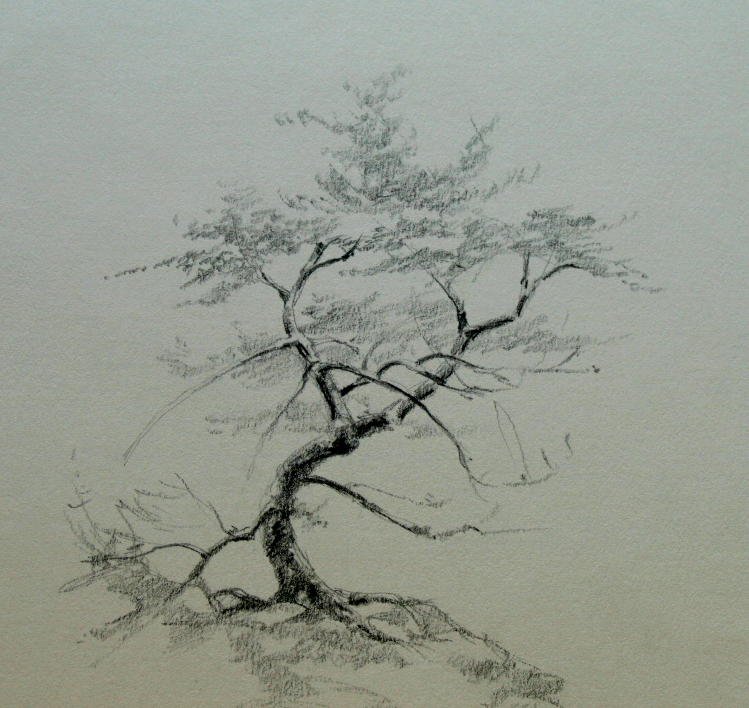 Wallpaper #BWgvFZMBSpphPi3-Zwec23 Pencil Drawing of Tree of Life at Getdrawings Free Download