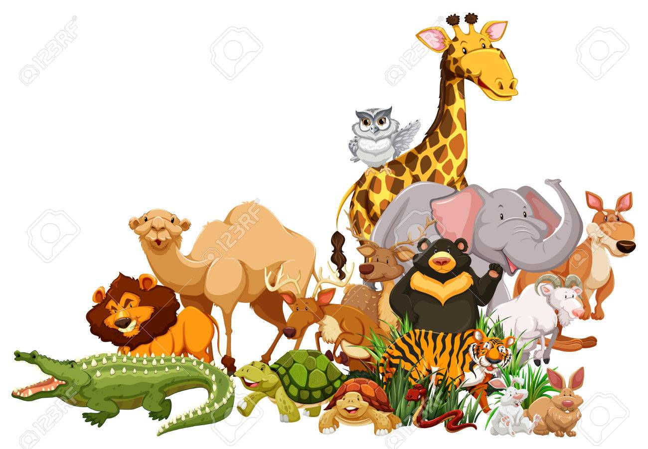 Wallpaper #03c4b Happy Jungle Safari Birthday Our Amhiraya Studio