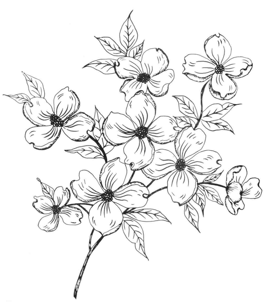 Wallpaper #4B2MLZMBlOZrFDOkv9C4298 Simple Flower Pattern Drawing at Getdrawings Free Download