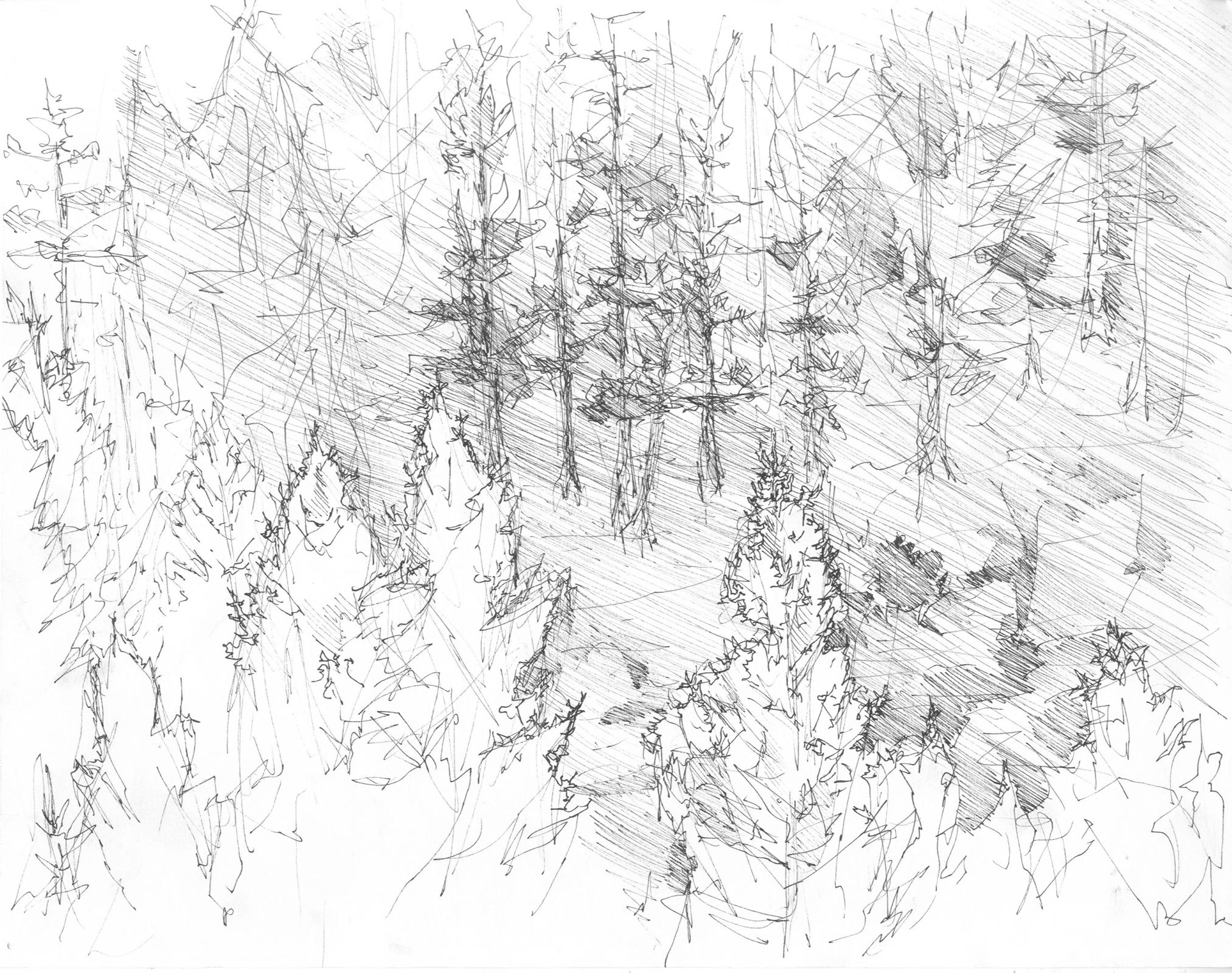 Wallpaper #d2c4EZMBSpphPi3-OPZ144 Pencil Drawing of a Forest at Getdrawings Free Download