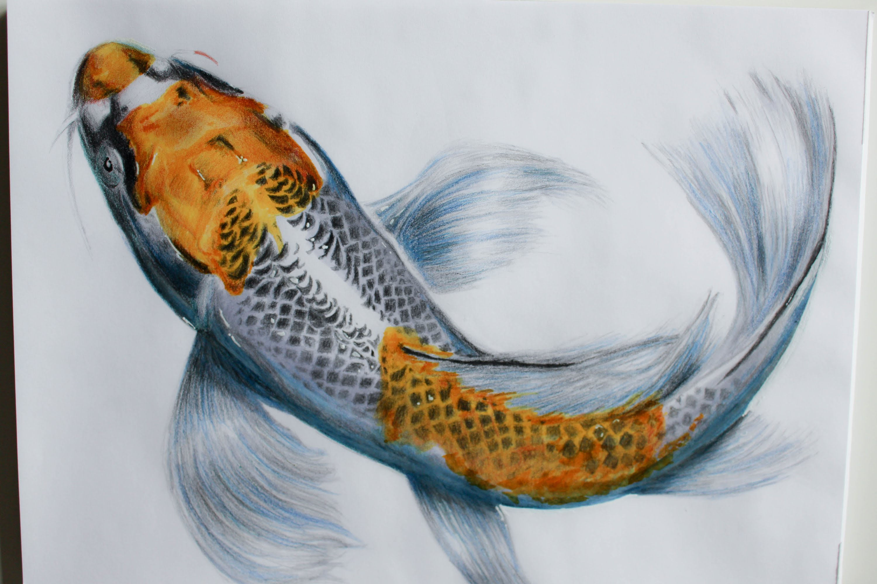 Wallpaper #4f2e6 Koi Fish Heart Original Watercolor Painting Etsy