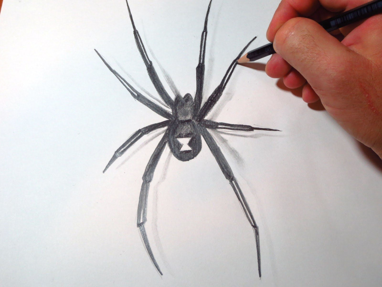 Wallpaper #NvSyOZMBKFX8bn3rzHd0180 Simple Spider Drawing at Getdrawings Free Download