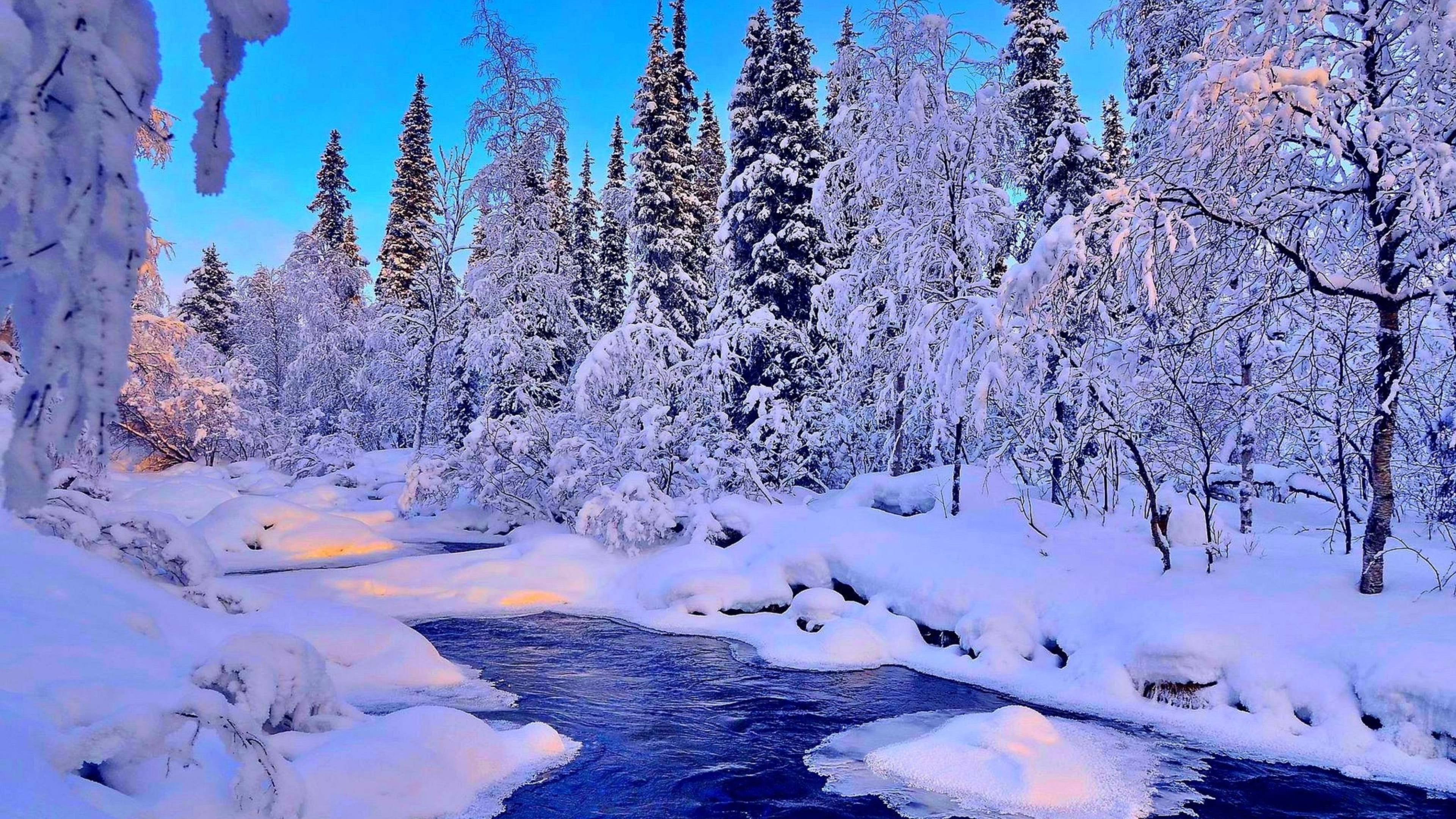 Wallpaper #Xh0aK5MBlOZrFDOkCcW-14 Winter Themed Wallpaper 4K Kolpaper Awesome Free HD Wallpapers